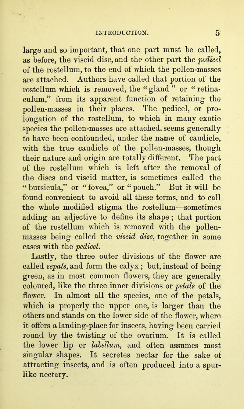 large and so important, that one part must be called, as before, the viscid disc, and the other part the pedicel of the rostellum, to the end of which the pollen-masses are attached. Authors have called that portion of the rostellum which is removed, the “ gland ” or “ retina- culum,” from its apparent function of retaining the pollen-masses in their places. The pedicel, or pro- longation of the rostellum, to which in many exotic species the pollen-masses are attached, seems generally to have been confounded, under the name of caudicle, with the true caudicle of the pollen-masses, though their nature and origin are totally different. The part of the rostellum which is left after the removal of the discs and viscid matter, is sometimes called the “ bursicula,” or “ fovea,” or “ pouch.” But it will be found convenient to avoid all these terms, and to call the whole modified stigma the rostellum—sometimes adding an adjective to define its shape; that portion of the rostellum which is removed with the pollen- masses being called the viscid disc, together in some cases with the pedicel. Lastly, the three outer divisions of the flower are called sepals, and form the calyx; but, instead of being green, as in most common flowers, they are generally coloured, like the three inner divisions or petals of the flower. In almost all the species, one of the petals, which is properly the upper one, is larger than the others and stands on the lower side of the flower, where it offers a landing-place for insects, having been carried round by the twisting of the ovarium. It is called the lower lip or labellum, and often assumes most singular shapes. It secretes nectar for the sake of attracting insects, and is often produced into a spur- like nectary.