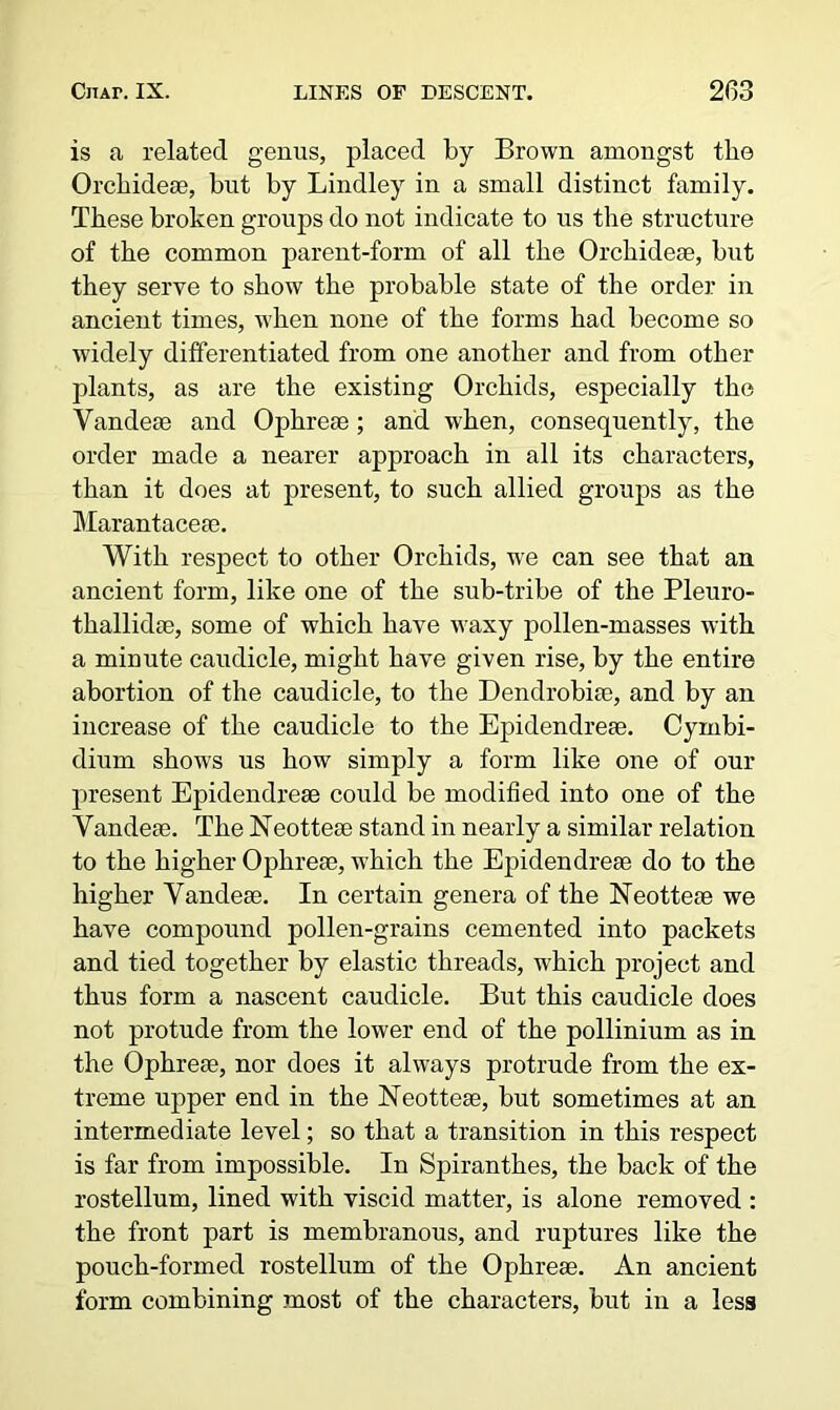 is a related genus, placed by Brown amongst the Orchideae, but by Lindley in a small distinct family. These broken groups do not indicate to us the structure of the common parent-form of all the Orchideae, but they serve to show the probable state of the order in ancient times, when none of the forms had become so widely differentiated from one another and from other plants, as are the existing Orchids, especially the Vandeae and Ophreae ; and when, consequently, the order made a nearer approach in all its characters, than it does at present, to such allied groups as the Marantaceae. With respect to other Orchids, we can see that an ancient form, like one of the sub-tribe of the Pleuro- thallidae, some of which have waxy pollen-masses with a minute caudicle, might have given rise, by the entire abortion of the caudicle, to the Dendrobiae, and by an increase of the caudicle to the Epidendrese. Cymbi- dium shows us how simply a form like one of our present Epidendreae could be modified into one of the Vandeae. The Neotteae stand in nearly a similar relation to the higher Ophreae, w’hich the Epidendreae do to the higher Vandese. In certain genera of the Neotteae we have compound pollen-grains cemented into packets and tied together by elastic threads, which project and thus form a nascent caudicle. But this caudicle does not protude from the lower end of the pollinium as in the Ophreae, nor does it always protrude from the ex- treme upper end in the ISTeotteae, but sometimes at an intermediate level; so that a transition in this respect is far from impossible. In Spiranthes, the back of the rostellum, lined with viscid matter, is alone removed : the front part is membranous, and ruptures like the pouch-formed rostellum of the Ophreae. An ancient form combining most of the characters, but in a less