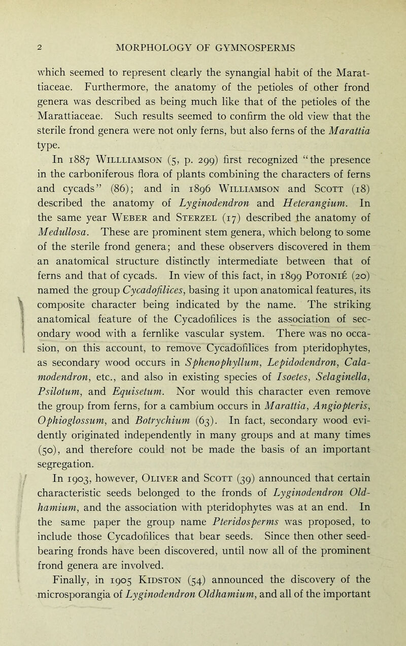 \ ; ■ < I which seemed to represent clearly the synangial habit of the Marat- tiaceae. Furthermore, the anatomy of the petioles of other frond genera was described as being much like that of the petioles of the Marattiaceae. Such results seemed to confirm the old view that the sterile frond genera were not only ferns, but also ferns of the Marattia type. In 1887 Willliamson (5, p. 299) first recognized “the presence in the carboniferous flora of plants combining the characters of ferns and cycads” (86); and in 1896 Williamson and Scott (18) described the anatomy of Lyginodendron and Heterangium. In the same year Weber and Sterzel (17) described the anatomy of Medullosa. These are prominent stem genera, which belong to some of the sterile frond genera; and these observers discovered in them an anatomical structure distinctly intermediate between that of ferns and that of cycads. In view of this fact, in 1899 Potonie (20) named the group Cycadofilices, basing it upon anatomical features, its composite character being indicated by the name. The striking anatomical feature of the Cycadofilices is the association of sec- ondary wood with a fernlike vascular system. There was no occa- sion, on this account, to remove Cycadofilices from pteridophytes, as secondary wood occurs in Sphenophyllum, Lepidodendron, Cala- modendron, etc., and also in existing species of Isoetes, Selaginella, Psilotum, and Equisetum. Nor would this character even remove the group from ferns, for a cambium occurs in Marattia, Angiopteris, Ophioglossum, and Botrychium (63). In fact, secondary wood evi- dently originated independently in many groups and at many times (50), and therefore could not be made the basis of an important segregation. In 1903, however, Oliver and Scott (39) announced that certain characteristic seeds belonged to the fronds of Lyginodendron Old- hamium, and the association with pteridophytes was at an end. In the same paper the group name Pteridosperms was proposed, to include those Cycadofilices that bear seeds. Since then other seed- bearing fronds have been discovered, until now all of the prominent frond genera are involved. Finally, in 1905 Kidston (54) announced the discovery of the microsporangia of Lyginodendron Oldhamium, and all of the important