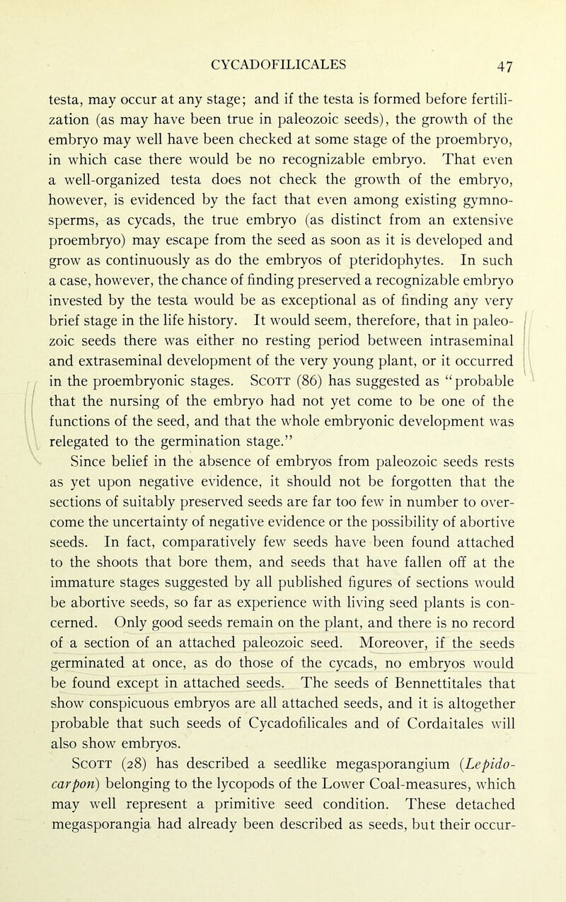 testa, may occur at any stage; and if the testa is formed before fertili- zation (as may have been true in paleozoic seeds), the growth of the embryo may well have been checked at some stage of the proembryo, in which case there would be no recognizable embryo. That even a well-organized testa does not check the growth of the embryo, however, is evidenced by the fact that even among existing gymno- sperms, as cycads, the true embryo (as distinct from an extensive proembryo) may escape from the seed as soon as it is developed and grow as continuously as do the embryos of pteridophytes. In such a case, however, the chance of finding preserved a recognizable embryo invested by the testa would be as exceptional as of finding any very brief stage in the life history. It would seem, therefore, that in paleo- zoic seeds there was either no resting period between intraseminal and extraseminal development of the very young plant, or it occurred in the proembryonic stages. Scott (86) has suggested as “probable that the nursing of the embryo had not yet come to be one of the functions of the seed, and that the whole embryonic development was relegated to the germination stage.” Since belief in the absence of embryos from paleozoic seeds rests as yet upon negative evidence, it should not be forgotten that the sections of suitably preserved seeds are far too few in number to over- come the uncertainty of negative evidence or the possibility of abortive seeds. In fact, comparatively few seeds have been found attached to the shoots that bore them, and seeds that have fallen off at the immature stages suggested by all published figures of sections would be abortive seeds, so far as experience with living seed plants is con- cerned. Only good seeds remain on the plant, and there is no record of a section of an attached paleozoic seed. Moreover, if the seeds germinated at once, as do those of the cycads, no embryos would be found except in attached seeds. The seeds of Bennettitales that show conspicuous embryos are all attached seeds, and it is altogether probable that such seeds of Cycadofilicales and of Cordaitales will also show embryos. Scott (28) has described a seedlike megasporangium (Lepido- carpon) belonging to the lycopods of the Lower Coal-measures, which may well represent a primitive seed condition. These detached megasporangia had already been described as seeds, but their occur-