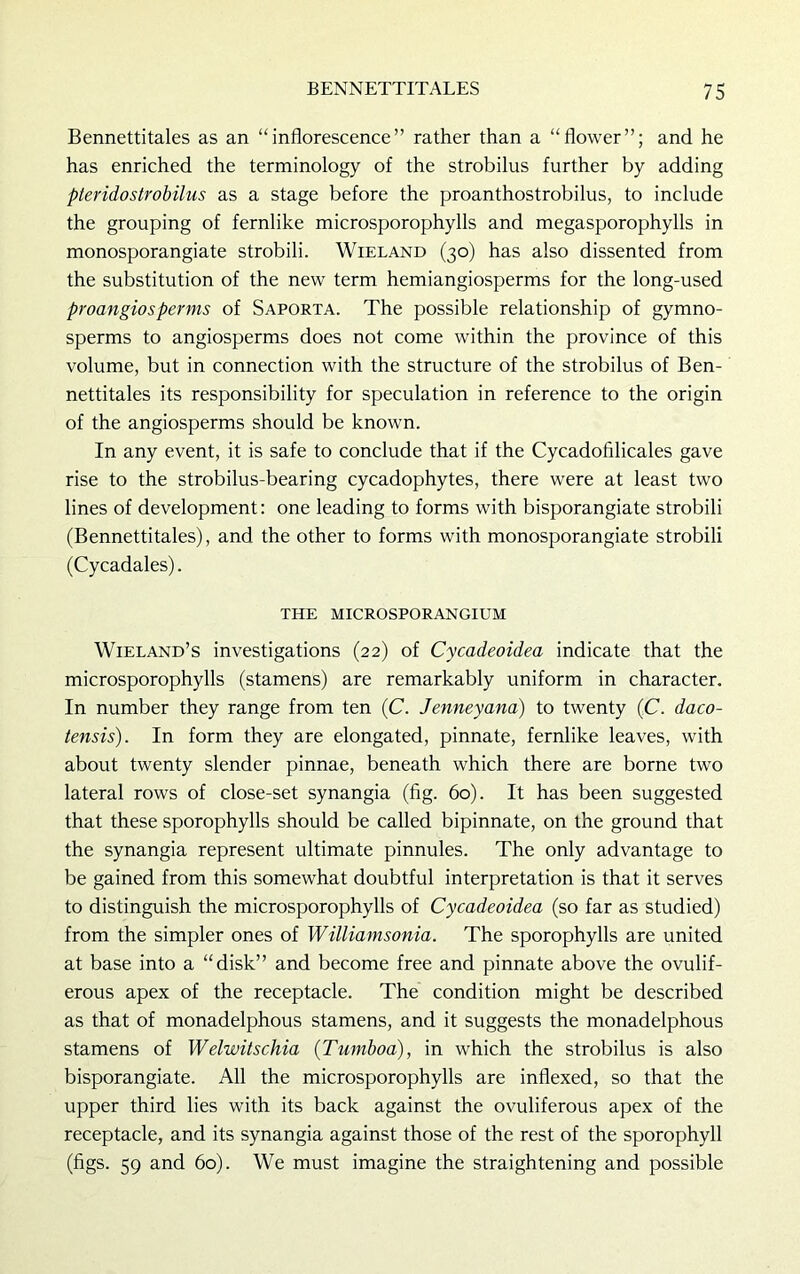 Bennettitales as an “inflorescence” rather than a “flower”; and he has enriched the terminology of the strobilus further by adding pteridostrobilus as a stage before the proanthostrobilus, to include the grouping of fernlike microsporophylls and megasporophylls in monosporangiate strobili. Wieland (30) has also dissented from the substitution of the new term hemiangiosperms for the long-used proangiosperms of Saporta. The possible relationship of gymno- sperms to angiosperms does not come within the province of this volume, but in connection with the structure of the strobilus of Ben- nettitales its responsibility for speculation in reference to the origin of the angiosperms should be known. In any event, it is safe to conclude that if the Cycadofilicales gave rise to the strobilus-bearing cycadophytes, there were at least two lines of development: one leading to forms with bisporangiate strobili (Bennettitales), and the other to forms with monosporangiate strobili (Cycadales). THE MICROSPORANGIUM Wieland’s investigations (22) of Cycadeoidea indicate that the microsporophylls (stamens) are remarkably uniform in character. In number they range from ten (C. Jenneyana) to twenty (C. daco- tensis). In form they are elongated, pinnate, fernlike leaves, with about twenty slender pinnae, beneath which there are borne two lateral rows of close-set synangia (fig. 60). It has been suggested that these sporophylls should be called bipinnate, on the ground that the synangia represent ultimate pinnules. The only advantage to be gained from this somewhat doubtful interpretation is that it serves to distinguish the microsporophylls of Cycadeoidea (so far as studied) from the simpler ones of Williamsonia. The sporophylls are united at base into a “disk” and become free and pinnate above the ovulif- erous apex of the receptacle. The condition might be described as that of monadelphous stamens, and it suggests the monadelphous stamens of Welwitschia (Tumboa), in which the strobilus is also bisporangiate. All the microsporophylls are inflexed, so that the upper third lies with its back against the ovuliferous apex of the receptacle, and its synangia against those of the rest of the sporophyll (figs. 59 and 60). We must imagine the straightening and possible