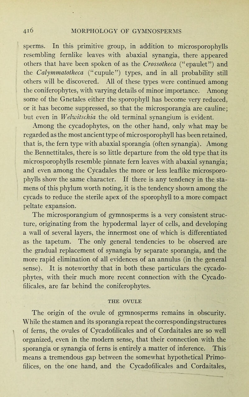 sperms. In this primitive group, in addition to microsporophylls resembling fernlike leaves with abaxial synangia, there appeared others that have been spoken of as the Crossotheca (“epaulet”) and the Calymmatotheca (“cupule”) types, and in all probability still others will be discovered. All of these types were continued among the coniferophytes, with varying details of minor importance. Among some of the Gnetales either the sporophyll has become very reduced, or it has become suppressed, so that the microsporangia are cauline; but even in Welwitschia the old terminal synangium is evident. Among the cycadophytes, on the other hand, only what may be regarded as the most ancient type of micr osporophyll has been retained, that is, the fern type with abaxial sporangia (often synangia). Among the Bennettitales, there is so little departure from the old type that its microsporophylls resemble pinnate fern leaves with abaxial synangia; and even among the Cycadales the more or less leaflike microsporo- phylls show the same character. If there is any tendency in the sta- mens of this phylum worth noting, it is the tendency shown among the cycads to reduce the sterile apex of the sporophyll to a more compact peltate expansion. The microsporangium of gymnosperms is a very consistent struc- ture, originating from the hypodermal layer of cells, and developing a wall of several layers, the innermost one of which is differentiated as the tapetum. The only general tendencies to be observed are the gradual replacement of synangia by separate sporangia, and the more rapid elimination of all evidences of an annulus (in the general sense). It is noteworthy that in both these particulars the cycado- phytes, with their much more recent connection with the Cycado- filicales, are far behind the coniferophytes. THE OVULE The origin of the ovule of gymnosperms remains in obscurity. While the stamen and its sporangia repeat the corresponding structures of ferns, the ovules of Cycadofilicales and of Cordaitales are so well organized, even in the modern sense, that their connection with the sporangia or synangia of ferns is entirely a matter of inference. This means a tremendous gap between the somewhat hypothetical Primo- filices, on the one hand, and the Cycadofilicales and Cordaitales,