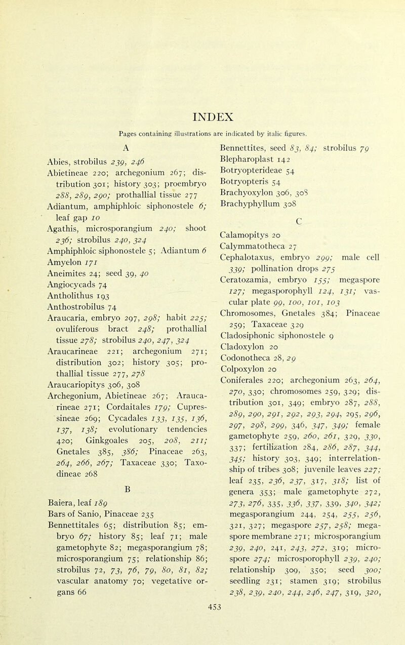 INDEX Pages containing illustrations are indicated by italic figures. A Abies, strobilus 239, 246 Abietineae 220; archegonium 267; dis- tribution 301; history 303; proembryo 288, 289, 290; prothallial tissue 277 Adiantum, amphiphloic siphonostele 6; leaf gap 10 Agathis, microsporangium 240; shoot 236; strobilus 240, 324 Amphiphloic siphonostele 5; Adiantum 6 Amyelon 171 Aneimites 24; seed 39, 40 Angiocycads 74 Antholithus 193 Anthostrobilus 74 Araucaria, embryo 297, 298; habit 223; ovuliferous bract 248; prothallial tissue 278; strobilus 240, 247, 324 Araucarineae 221; archegonium 271; distribution 302; history 303; pro- thallial tissue 277, 278 Araucariopitys 306, 308 Archegonium, Abietineae 267; Arauca- rineae 271; Cordaitales 179; Cupres- sineae 269; Cycadales 133, 135, 136, 137, 138; evolutionary tendencies 420; Ginkgoales 205, 208, 211; Gnetales 385, 386; Pinaceae 263, 264, 266, 267; Taxaceae 330; Taxo- dineae 268 B Baiera, leaf 189 Bars of Sanio, Pinaceae 233 Bennettitales 63; distribution 85; em- bryo 67; history 83; leaf 71; male gametophyte 82; megasporangium 78; microsporangium 73; relationship 86; strobilus 72, 73, 76, 79, 80, 81, 82; vascular anatomy 70; vegetative or- gans 66 Bennettites, seed 83, 84; strobilus 79 Blepharoplast 142 Botryopterideae 54 Botryopteris 34 Brachyoxylon 306, 308 Brachyphyllum 308 C Calamopitys 20 Calymmatotheca 27 Cephalotaxus, embryo 299; male cell 339; pollination drops 273 Ceratozamia, embryo 133; megaspore 127; megasporophyll 124, 131; vas- cular plate 99, 100, 101, 103 Chromosomes, Gnetales 384; Pinaceae 239; Taxaceae 329 Cladosiphonic siphonostele 9 Cladoxylon 20 Codonotheca 28, 29 Colpoxylon 20 Coniferales 220; archegonium 263, 264, 270, 330; chromosomes 259, 329; dis- tribution 301, 349; embryo 287, 288, 289, 290, 291, 292, 293, 294, 293, 296, 297, 298, 299, 346, 347, 349; female gametophyte 259, 260, 261, 329, 330, 337; fertilization 284, 286, 287, 344, 343; history 303, 349; interrelation- ship of tribes 308; juvenile leaves 227; leaf 233, 236, 237, 317, 318; list of genera 333; male gametophyte 272, 273, 276, 335, 33<5, 337, 339, 340, 342; megasporangium 244, 234, 233, 236, 321, 327; megaspore 237, 238; mega- spore membrane 271; microsporangium 239, 240, 241, 243, 272, 319; micro- spore 274; microsporophyll 239, 240; relationship 309, 330; seed 300; seedling 231; stamen 319; strobilus 238, 239, 240, 244, 246, 247, 319, 320,