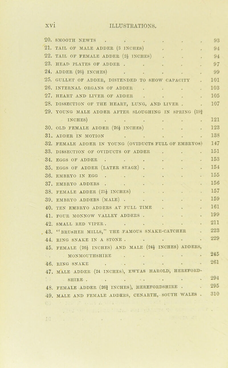 20. SMOOTH NEWTS ...... 03 21. TAIL OF MALE ADDER (3 INCHES) . . .04 22. TAIL OF FEMALE ADDER (2^ INCHES) . . .04 23. HEAD PLATES OF ADDER . . . , .97 24. ADDER (26i INCHES) ..... 09 25. GULLET OF ADDER, DISTENDED TO SHOW CAPACITY . 101 26. INTERNAL ORGANS OF ADDER .... 103 27. HEART AND LIVER OF ADDER .... 105 28. DISSECTION OF THE HEART, LUNG, AND LIVER . . 107 29. YOUNG MALE ADDER AFTER SLOUGHING IN SPRING (10} INCHES) ...... 121 30. OLD FEMALE ADDER (26J INCHES) . . . 123 31. ADDER IN MOTION ..... 138 32. FEMALE ADDER IN YOUNG (OVIDUCTS FULL OF EMBRYOS) 147 33. DISSECTION OF OVIDUCTS OF ADDER . . . 151 34. EGGS OF ADDER ...... 153 35. EGGS OF ADDER (LATER STAGE) .... 154 36. EMBRYO IN EGG ...... 155 37. EMBRYO ADDERS ...... 156 38. FEMALE ADDER (2oJ INCHES) .... 157 39. EMBRYO ADDERS (mALE) ..... 159 40. TEN EMBRYO ADDERS AT FULL TIME . . .161 41. FOUR MONNOW VALLEY ADDERS .... 199 42. SMALL RED VIPER ...... 211 . 43. “brushek mills,” the famous SN.VKE-CATCHER . 223 44. RING SNAKE IN A STONE ..... 229 45. FEMALE (26J INCHES) AND MALE (24} INCHES) ADDERS, . MONMOUTHSHIRE . . . • • 245 46. RING SNAKE ....•• 261 47. MALE ADDER (24 INCHES), EWYAS HAROLD, HEREFORD- SHIRE . . . ■ . • • • 48. FEMALE ADDER (26} INCHES), HEREFORDSHIRE . . 295 49. MALE AND FEMALE ADDERS, CENARTH, SOUTH WALES . 310