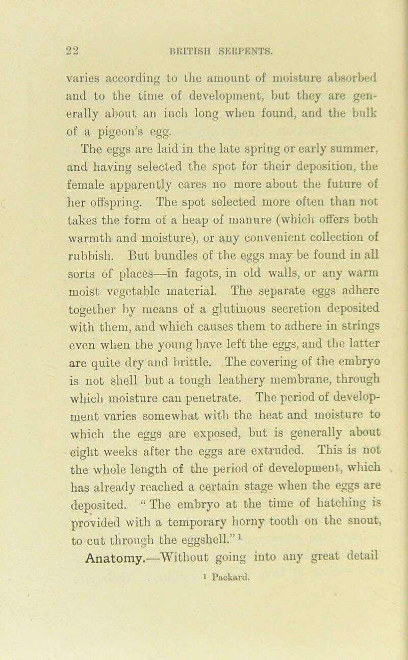 varies according to the amount of moisture absorbed and to the time of development, but they are gen- erally about an inch long when found, and the bulk of a pigeon’s egg. The eggs are laid in the late spring or early summer, and having selected the spot for their deposition, the female apparently cares no more about the future of her offspring. The spot selected more often than not takes the form of a heap of manure (whicli offers both warmth and moisture), or any convenient collection of rubbish. But bundles of the eggs may be found in all sorts of places—in fagots, in old walls, or any warm moist vegetable material. The separate eggs adhere together by means of a glutinous secretion deposited with them, and which causes them to adhere in strings even when the young have left the eggs, and the latter are quite dry and brittle. The covering of the embryo is not shell but a tough leathery membrane, through which moisture can penetrate. The period of develop- ment varies somewhat with the heat and moisture to which the eggs are exposed, but is generally about eight weeks after the eggs are extruded. This is not the whole length of the period of development, which has already reached a certain stage when the eggs are deposited. “ The embryo at the time of hatching is provided with a temporary horny tooth on the snout, to cut through the eggshell.” ^ Anatomy.—Without going into any great detail