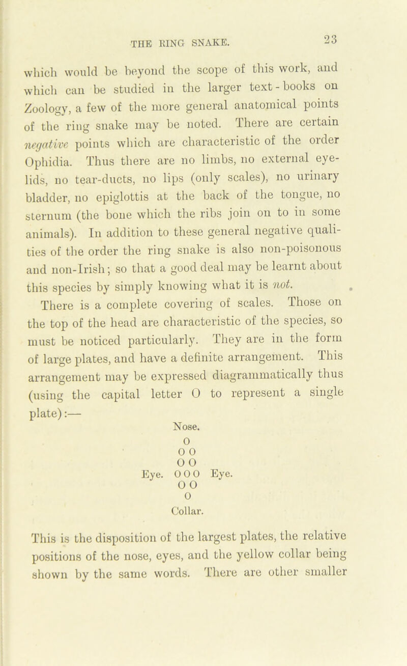 which would be beyond the scope of this work, and which can be studied in the larger text - books on Zoology, a few of the more general anatomical points of the ring snake may be noted. Hiere are certain ncffcitivc points which are characteristic of the older Ophidia. Thus there are no limbs, no external eye- lids, no tear-ducts, no lips (only scales), no urinary bladder, no epiglottis at the back of the tongue, no sternum (the bone which the ribs join on to in some animals). In addition to these general negative quali- ties of the order the ring snake is also non-poisonous and non-Irish; so that a good deal may be learnt about this species by simply knowing what it is 7iot. There is a complete covering of scales. Those on the top of the head are characteristic of the species, so must be noticed particularly. They are in the form of large plates, and have a definite arrangement. This arrangement may be expressed diagrammatically thus (using the capital letter 0 to represent a single plate):— Nose. 0 O O 00 Eye. 0 0 0 Eye. O 0 0 Collar. This is the disposition of the largest plates, the relative positions of the nose, eyes, and the yellow collar being shown by the same words. There are other smaller