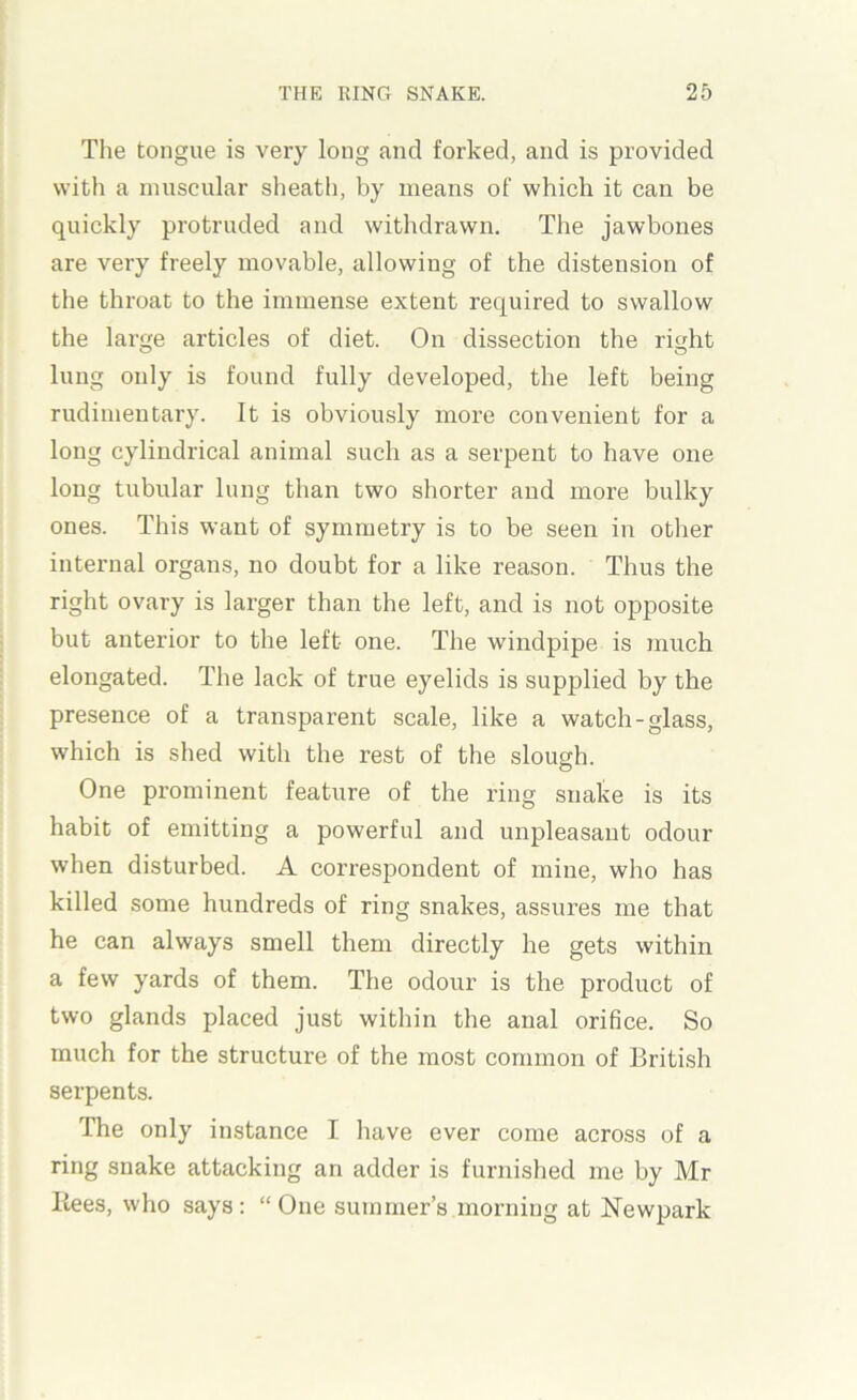 The tongue is very long and forked, and is provided with a muscular sheath, by means of which it can be quickly protruded and withdrawn. The jawbones are very freely movable, allowing of the distension of the throat to the immense extent required to swallow the large articles of diet. On dissection the right lung only is found fully developed, the left being rudimentary. It is obviously more convenient for a long cylindrical animal such as a serpent to have one long tubular lung than two shorter and more bulky ones. This want of symmetry is to be seen in other internal organs, no doubt for a like reason. Thus the right ovary is larger than the left, and is not opposite but anterior to the left one. The windpipe is much elongated. The lack of true eyelids is supplied by the presence of a transparent scale, like a watch-glass, which is shed with the rest of the slough. One prominent feature of the ring snake is its habit of emitting a powerful and unpleasant odour when disturbed. A correspondent of mine, who has killed some hundreds of ring snakes, assures me that he can always smell them directly he gets within a few yards of them. The odour is the product of two glands placed just within the anal orifice. So much for the structure of the most common of British serpents. The only instance I have ever come across of a ring snake attacking an adder is furnished me by Mr Rees, who says : “ One summer’s morning at Newpark