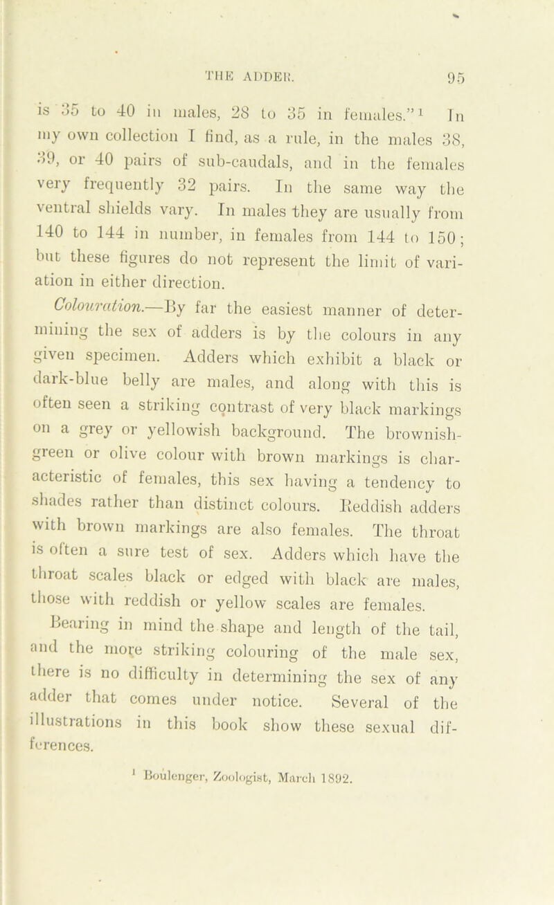 is 55 to 40 ill males, 28 to 35 in females.”^ Tn my own collection I find, as a rnle, in the males 38, o9, or 40 pairs of snb-caudals, and in the females very frequently 32 pairs. In the same way the ventral shields vary. In males they are usually from 140 to 144 in number, in females from 144 to 150; but these figures do not represent the limit of vari- ation in either direction. Colouration.—By far the easiest manner of deter- mining the sex of adders is by tlie colours in any given siDecimen. Adders which exhibit a black or dark-blue belly are males, and along with this is often seen a striking contrast of very black markings on a grey or yellowish background. The brownish- green or olive colour with brown markings is char- acteristic of females, this sex having a tendency to shades rather than distinct colours. Eeddish adders with brown markings are also females. The throat is often a sure test of sex. Adders which have the throat scales black or edged with black are males, those with reddish or yellow scales are females. Hearing in mind the shape and length of the tail, and the more striking colouring of the male sex, there is no difficulty in determining the sex of any adder that comes under notice. Several of the illustrations in this book show these sexual dif- ferences.