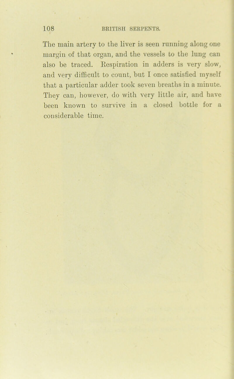 The main artery to the liver is seen running along one margin of that organ, and the vessels to the lung can also be traced. Respiration in adders is very slow, and very difficult to count, but I once satisfied myself that a particular adder took seven breaths in a minute. They can, however, do with very little air, and have been known to survive in a closed bottle for a considerable time.