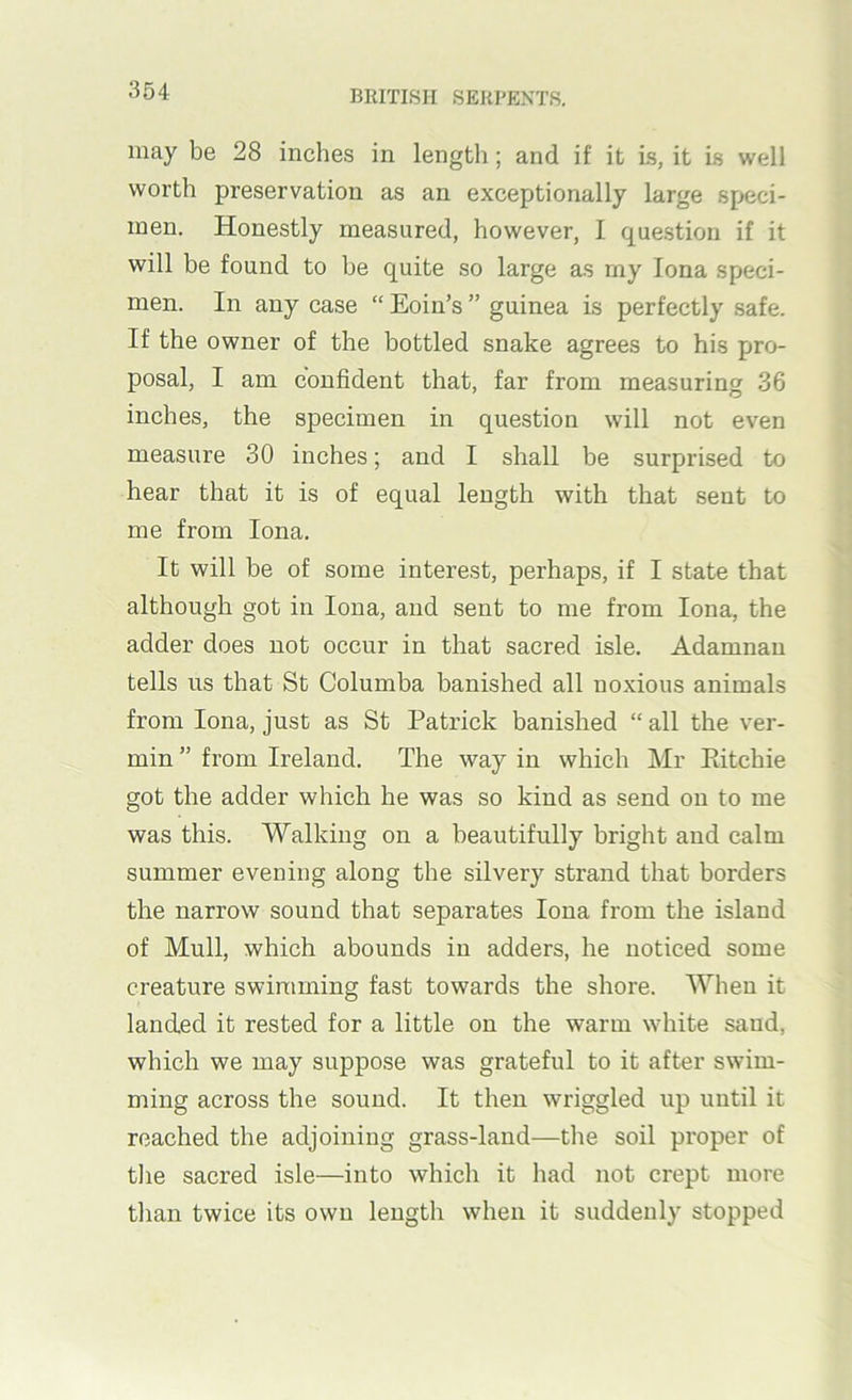 may be 28 inches in length; and if it Ls, it Is well worth preservation as an exceptionally large speci- men. Honestly measured, however, I question if it will be found to he quite so large as my Iona speci- men. In any case “ Eoin’s ” guinea is perfectly safe. If the owner of the bottled snake agrees to his pro- posal, I am confident that, far from measuring 36 inches, the specimen in question will not even measure 30 inches; and I shall be surprised to hear that it is of equal length with that sent to me from Iona. It will he of some interest, perhaps, if I state that although got in Iona, and sent to me from Iona, the adder does not occur in that sacred isle. Adamnan tells us that St Columba banished all noxious animals from Iona, just as St Patrick banished “ all the ver- min ” from Ireland. The way in which Mr Pdtchie got the adder which he was so kind as send on to me was this. Walking on a beautifully bright and calm summer evening along the silvery strand that borders the narrow sound that separates Iona from the island of Mull, which abounds in adders, he noticed some creature swimming fast towards the shore. When it landed it rested for a little on the warm white sand, which we may suppose was grateful to it after swim- ming across the sound. It then wriggled up until it reached the adjoining grass-land—the soil proper of the sacred isle—into which it had not crept more than twice its own length when it suddenly stopped