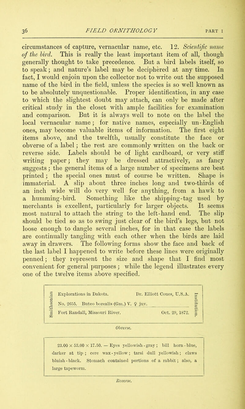 circumstances of capture, vernacular name, etc. 12. Scientific name of the bird. This is really the least important item of all, though generally thought to take precedence. But a bird labels itself, so to speak; and nature’s label may be deciphered at any time. In fact, I would enjoin upon the collector not to write out the supposed name of the bird in the field, unless the species is so well known as to be absolutely unquestionable. Proper identification, in any case to which the slightest doubt may attach, can only be made after critical study in the closet with ample facilities for examination and comparison. But it is always well to note on the label the local vernacular name; for native names, especially un-English ones, may become valuable items of information. The first eight items above, and the twelfth, usually constitute the face or obverse of a label; the rest are commonly written on the back or reverse side. Labels should be of light cardboard, or very stiff writing paper; they may be dressed attractively, as fancy suggests j the general items of a large number of specimens are best printed; the special ones must of course be written. Shape is immaterial. A slip about three inches long and two-thirds of an inch wide will do very well for anything, from a hawk to a humming-bird. Something like the shipping-tag used by merchants is excellent, particularly for larger objects. It seems most natural to attach the string to the left-hand end. The slip should be tied so as to swing just clear of the bird’s legs, but not loose enough to dangle several inches, for in that case the labels are continually tangling with each other when the birds are laid away in drawers. The following forms show the face and back of the last label I happened to write before these lines were originally penned; they represent the size and shape that I find most convenient for general purposes; while the legend illustrates every one of the twelve items above specified. i Explorations in Dakota. Dr. Elliott Cones, U.S.A. ‘3 1 No. 2655. Buteo borealis (Gm.) V. ? juv. 'S Fort Randall, Missouri River. OQ Oct. 29, 1872. o’ Obverse. 23.00 X 53.00 X 17.50. — Eyes yellowish - gray ; darker at tip ; cere wax - yellow; tarsi dull bluish - black. Stomach contained portions of large tapeworm. bill horn - blue, yellowish; claws a rabbit; also, a Reverse.