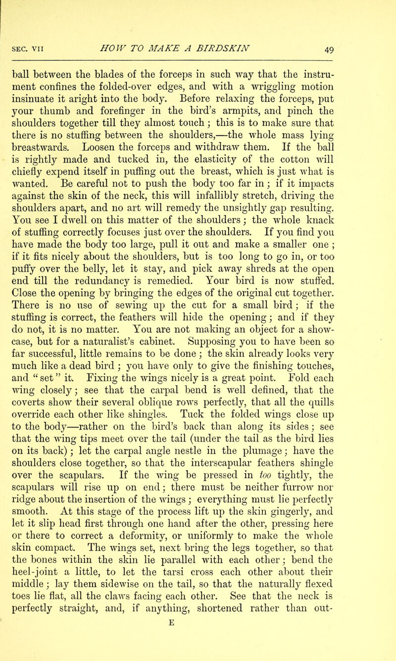 ball between the blades of the forceps in such way that the instru- ment confines the folded-over edges, and with a wriggling motion insinuate it aright into the body. Before relaxing the forceps, put your thumb and forefinger in the bird’s armpits, and pinch the shoulders together till they almost touch \ this is to make sure that there is no stuffing between the shoulders,—the whole mass lying breastwards. Loosen the forceps and withdraw them. If the ball is rightly made and tucked in, the elasticity of the cotton will chiefly expend itself in puflSng out the breast, which is just what is wanted. Be careful not to push the body too far in; if it impacts against the skin of the neck, this will infallibly stretch, driving the shoulders apart, and no art will remedy the unsightly gap resulting. You see I dwell on this matter of the shoulders; the whole knack of stuffing correctly focuses just over the shoulders. If you find you have made the body too large, pull it out and make a smaller one ; if it fits nicely about the shoulders, but is too long to go in, or too puffy over the belly, let it stay, and pick away shreds at the open end till the redundancy is remedied. Your bird is now stuffed. Close the opening by bringing the edges of the original cut together. There is no use of sewing up the cut for a small bird; if the stufling is correct, the feathers will hide the opening; and if they do not, it is no matter. You are not making an object for a show- case, but for a naturalist’s cabinet. Supposing you to have been so far successful, little remains to be done ; the skin already looks very much like a dead bird j you have only to give the finishing touches, and “ set ” it. Fixing the wings nicely is a great point. Fold each wing closely; see that the carpal bend is well defined, that the coverts show their several oblique rows perfectly, that all the quills override each other like shingles. Tuck the folded wings close up to the body—rather on the bird’s back than along its sides; see that the wing tips meet over the tail (under the tail as the bird lies on its back); let the carpal angle nestle in the plumage; have the shoulders close together, so that the interscapular feathers shingle over the scapulars. If the wing be pressed in too tightly, the scapulars will rise up on end; there must be neither furrow nor ridge about the insertion of the wings; everything must lie perfectly smooth. At this stage of the process lift up the skin gingerly, and let it slip head first through one hand after the other, pressing here or there to correct a deformity, or uniformly to make the whole skin compact. The wings set, next bring the legs together, so that the bones within the skin lie parallel with each other; bend the heel-joint a little, to let the tarsi cross each other about their middle; lay them sidewise on the tail, so that the naturally flexed toes lie flat, all the claws facing each other. See that the neck is perfectly straight, and, if anything, shortened rather than out- E
