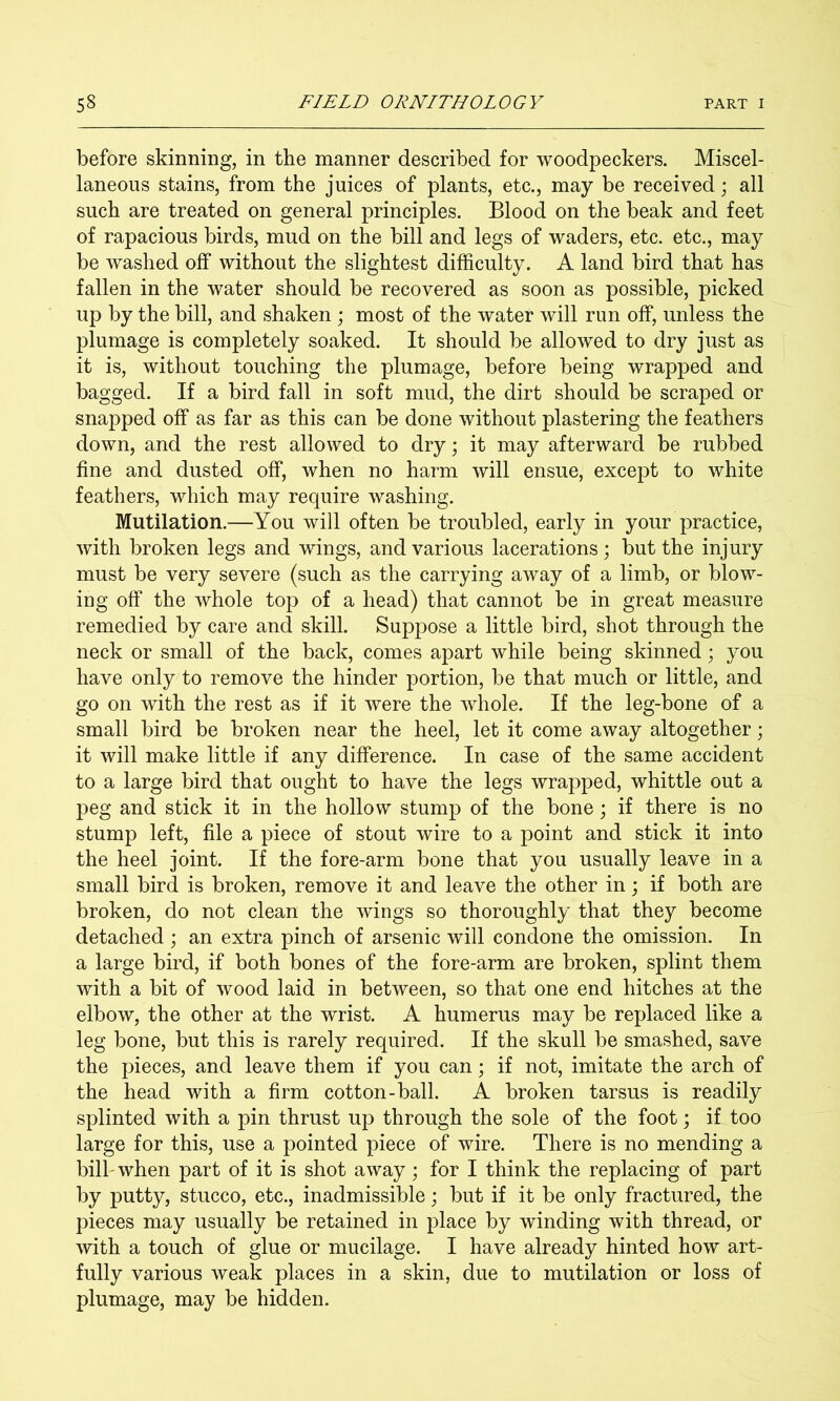 before skinning, in the manner described for woodpeckers. Miscel- laneous stains, from the juices of plants, etc., may be received; all such are treated on general principles. Blood on the beak and feet of rapacious birds, mud on the bill and legs of waders, etc. etc., may be washed off without the slightest difficulty. A land bird that has fallen in the water should be recovered as soon as possible, picked up by the bill, and shaken ; most of the water will run off, unless the plumage is completely soaked. It should be allowed to dry just as it is, without touching the plumage, before being wrapped and bagged. If a bird fall in soft mud, the dirt should be scraped or snapped off as far as this can be done without plastering the feathers down, and the rest allowed to dry; it may afterward be rubbed fine and dusted off, when no harm will ensue, except to white feathers, which may require washing. Mutilation.—You will often be troubled, early in your practice, with broken legs and wings, and various lacerations; but the injury must be very severe (such as the carrying away of a limb, or blow- ing off the whole top of a head) that cannot be in great measure remedied by care and skill. Suppose a little bird, shot through the neck or small of the back, comes apart while being skinned; you have only to remove the hinder portion, be that much or little, and go on with the rest as if it were the whole. If the leg-bone of a small bird be broken near the heel, let it come away altogether; it will make little if any difference. In case of the same accident to a large bird that ought to have the legs wrapped, whittle out a peg and stick it in the hollow stump of the bone; if there is no stump left, file a piece of stout wire to a point and stick it into the heel joint. If the fore-arm bone that you usually leave in a small bird is broken, remove it and leave the other in; if both are broken, do not clean the wings so thoroughly that they become detached ; an extra pinch of arsenic will condone the omission. In a large bird, if both bones of the fore-arm are broken, splint them with a bit of wood laid in between, so that one end hitches at the elbow, the other at the wrist. A humerus may be replaced like a leg bone, but this is rarely required. If the skull be smashed, save the pieces, and leave them if you can; if not, imitate the arch of the head with a firm cotton-ball. A broken tarsus is readily splinted with a pin thrust up through the sole of the foot; if too large for this, use a pointed piece of wire. There is no mending a bill- when part of it is shot away; for I think the replacing of part by putty, stucco, etc., inadmissible; but if it be only fractured, the pieces may usually be retained in place by winding with thread, or with a touch of glue or mucilage. I have already hinted how art- fully various weak places in a skin, due to mutilation or loss of plumage, may be hidden.