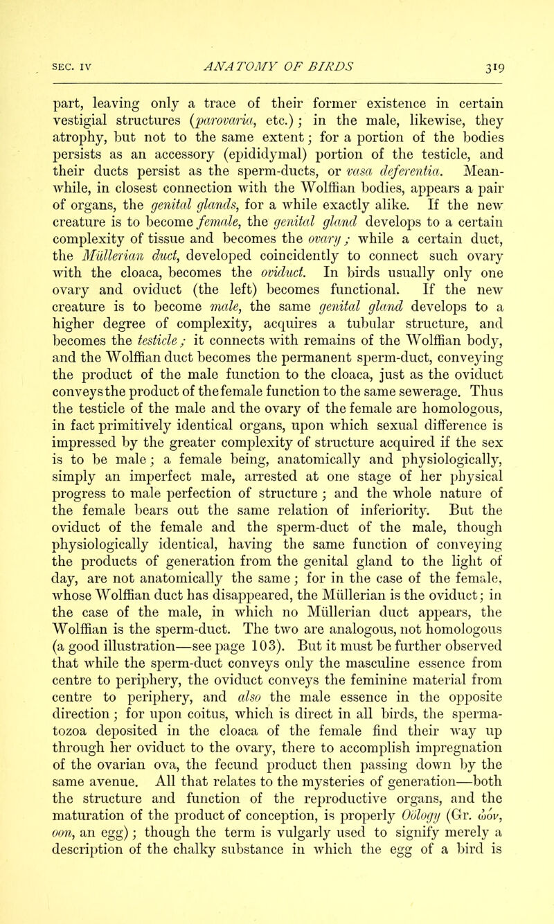 part, leaving only a trace of their former existence in certain vestigial structures {parovaria, etc.) j in the male, likewise, they atrophy, hut not to the same extent; for a portion of the bodies persists as an accessory (epididymal) portion of the testicle, and their ducts persist as the sperm-ducts, or vasa deferentia. Mean- while, in closest connection with the Wolffian bodies, appears a pair of organs, the genital glands, for a while exactly alike. If the new creature is to become female, the genital gland develops to a certain complexity of tissue and becomes the ovary; while a certain duct, the Mullerian duct, developed coincidently to connect such ovary with the cloaca, becomes the oviduct. In birds usually only one ovary and oviduct (the left) becomes functional. If the new creature is to become mode, the same genital gland develops to a higher degree of complexity, acquires a tubular structure, and becomes the testicle ; it connects with remains of the Wolffian body, and the Wolffian duct becomes the permanent sj^erm-duct, conveying the product of the male function to the cloaca, just as the oviduct conveys the product of the female function to the same sewerage. Thus the testicle of the male and the ovary of the female are homologous, in fact primitively identical organs, upon which sexual difference is impressed by the greater complexity of structure acquired if the sex is to be male; a female being, anatomically and physiologically, simply an imperfect male, arrested at one stage of her physical progress to male perfection of structure ; and the whole nature of the female bears out the same relation of inferiority. But the oviduct of the female and the sperm-duct of the male, though physiologically identical, having the same function of conveying the products of generation from the genital gland to the light of day, are not anatomically the same ; for in the case of the female, whose Wolffian duct has disappeared, the Mullerian is the oviduct; in the case of the male, in which no Mlillerian duct appears, the Wolffian is the sperm-duct. The two are analogous, not homologous (a good illustration—seepage 103). But it must be further observed that while the sperm-duct conveys only the masculine essence from centre to periphery, the oviduct conveys the feminine material from centre to periphery, and also the male essence in the opposite direction; for upon coitus, which is direct in all birds, the sperma- tozoa deposited in the cloaca of the female find their w^ay up through her oviduct to the ovary, there to accomplish impregnation of the ovarian ova, the fecund product then passing down by the same avenue. All that relates to the mysteries of generation—both the structure and function of the reproductive organs, and the maturation of the product of conception, is properly Oology (Gr. wov, oon, an egg); though the term is vulgarly used to signify merely a description of the chalky substance in which the egg of a bird is