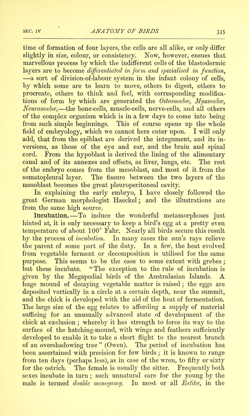 time of formation of four layers, the cells are all alike, or only differ slightly in size, colour, or consistency. Now, however, ensues that marvellous process by which the indifferent cells of the blastodermic layers are to become differentiated in form and specialised in function, —a sort of division-of-labour system in the infant colony of cells, by which some are to learn to move, others to digest, others to procreate, others to think and feel, with corresponding modifica- tions of form by which are generated the Osteamoehce, Myamcebce, Neuramoebce,—the bone-cells, muscle-cells, nerve-cells, and all others of the complex organism which is in a few days to come into being from such simple beginnings. This of course opens up the whole field of embryology, which we cannot here enter upon. I will only add, that from the epiblast are derived the integument, and its in- versions, as those of the eye and ear, and the brain and spinal cord. From the hypoblast is derived the lining of the alimentary canal and of its annexes and offsets, as liver, lungs, etc. The rest of the embryo comes from the mesoblast, and most of it from the somatopleural layer. The fissure between the two layers of the mesoblast becomes the great pleuroperitoneal cavity. In explaining the early embryo, I have closely followed the great German morphologist Haeckel; and the illustrations are from the same high source. Incubation.—To induce the wonderful metamorphoses just hinted at, it is only necessary to keep a bird’s egg at a pretty even temperature of about 100° Fahr. Nearly all birds secure this result by the process of incubation. In many cases the sun’s rays relieve the parent of some part of the duty. In a few, the heat evolved from vegetable ferment or decomposition is utilised for the same purpose. This seems to be the case to some extent with grebes; but these incubate. “The exception to the rule of incubation is given by the Megapodial birds of the Australasian Islands. A huge mound of decaying vegetable matter is raised; the eggs are deposited vertically in a circle at a certain depth, near the summit, and the chick is developed with the aid of the heat of fermentation. The large size of the egg relates to affording a supply of material suflScing for an unusually advanced state of development of the chick at exclusion; whereby it has strength to force its way to the surface of the hatching-mound, with wings and feathers sufficiently developed to enable it to take a short flight to the nearest branch of an overshadowing tree ” (Owen). The period of incubation has been ascertained with precision for few birds; it is known to range from ten days (perhaps less), as in case of the wren, to fifty or sixty for the ostrich. The female is usually the sitter. Frequently both sexes incubate in turn; such unnatural care for the young by the male is termed double monogamy. In most or all Ratitoi, in the