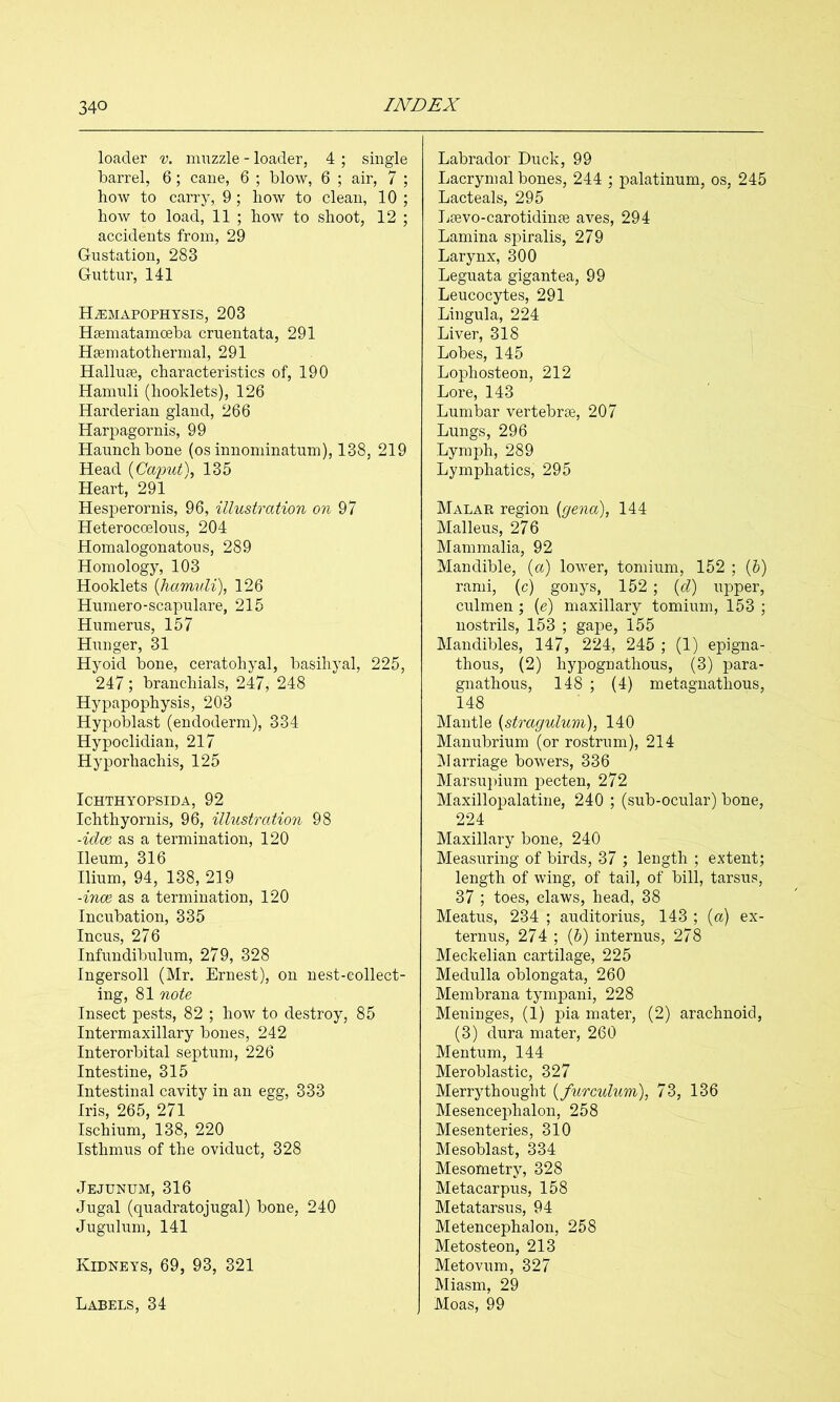 loader v. muzzle - loader, 4 ; single barrel, 6; cane, 6 ; blow, 6 ; air, 7 ; how to carry, 9; how to clean, 10 ; how to load, 11 ; how to shoot, 12 ; accidents from, 29 Gustation, 283 Guttur, 141 H^emapophysis, 203 Haematamoeba cruentata, 291 Haematothermal, 291 Halluae, characteristics of, 190 Hamuli (hooklets), 126 Harderian gland, 266 Harpagornis, 99 Haunch bone (os innominatum), 138, 219 Head {Ca'put\ 135 Heart, 291 Hesperornis, 96, illustration on Heterocoelous, 204 Homalogonatous, 289 Homology, 103 Hooklets {hamuli), 126 Humero-scapulare, 215 Humerus, 157 Hunger, 31 Hyoid bone, ceratohyal, basihyal, 225, 247 ; branchials, 247, 248 Hypapophysis, 203 Hypoblast (endoderm), 334 Hypoclidian, 217 Hyporhachis, 125 ICHTHYOPSIDA, 92 Ichthyornis, 96, illustration 98 -idee as a termination, 120 Ileum, 316 Ilium, 94, 138, 219 -inoe as a termination, 120 Incubation, 335 Incus, 276 Infundibulum, 279, 328 Ingersoll (Mr. Ernest), on nest-collect- ing, 81 note Insect pests, 82 ; how to destroy, 85 Intermaxillary bones, 242 Interorbital septum, 226 Intestine, 315 Intestinal cavity in an egg, 333 Iris, 265, 271 Ischium, 138, 220 Isthmus of the oviduct, 328 Jejunum, 316 Jugal (quadratojugal) bone, 240 Jugulum, 141 Kidneys, 69, 93, 321 Labels, 34 Labrador Duck, 99 Lacrymal bones, 244 ; palatinum, os, 245 Lacteals, 295 Ijsevo-carotidinae aves, 294 Lamina spiralis, 279 Larynx, 300 Leguata gigantea, 99 Leucocytes, 291 Lingula, 224 Liver, 318 Lobes, 145 Lophosteon, 212 Lore, 143 Lumbar vertebrae, 207 Lungs, 296 Lymph, 289 Lymphatics, 295 MalaPv region {gena), 144 Malleus, 276 Mammalia, 92 Mandible, {a) lower, tomium, 152 ; (6) rami, (c) gonys, 152 ; {d) upper, culmen ; (e) maxillary tomium, 153 ; nostrils, 153 ; gape, 155 Mandibles, 147, 224, 245 ; (1) epigna- thous, (2) hypognathous, (3) para- gnathous, 148 ; (4) metagnathous, 148 Mantle {straguluvi), 140 Manubrium (or rostrum), 214 Marriage bowers, 336 Marsupium pecten, 272 Maxillopalatine, 240 ; (sub-ocular) bone, 224 Maxillary bone, 240 Measuring of birds, 37 ; length ; extent; length of wing, of tail, of bill, tarsus, 37 ; toes, claws, head, 38 Meatus, 234 ; auditorius, 143 ; {a) ex- ternus, 274 ; (&) internus, 278 Meckelian cartilage, 225 Medulla oblongata, 260 Membrana tympani, 228 Meninges, (1) pia mater, (2) arachnoid, (3) dura mater, 260 Mentum, 144 Meroblastic, 327 Merrythought {furculum), 73, 136 Mesencephalon, 258 Mesenteries, 310 Mesoblast, 334 Mesometry, 328 Metacarpus, 158 Metatarsus, 94 Metencephalon, 258 Metosteon, 213 Metovum, 327 Miasm, 29 Moas, 99