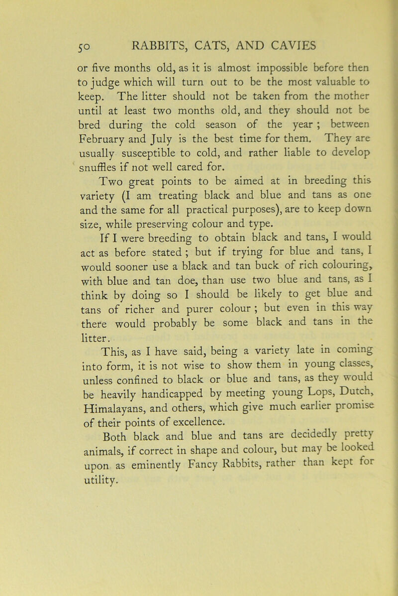 or five months old, as it is almost impossible before then to judge which will turn out to be the most valuable to keep. The litter should not be taken from the mother until at least two months old, and they should not be bred during the cold season of the year ; between February and July is the best time for them. They are usually susceptible to cold, and rather liable to develop snuffles if not well cared for. Two great points to be aimed at in breeding this variety (I am treating black and blue and tans as one and the same for all practical purposes), are to keep down size, while preserving colour and type. If I were breeding to obtain black and tans, I would act as before stated ; but if trying for blue and tans, I would sooner use a black and tan buck of rich colouring, with blue and tan doe, than use two blue and tans, as I think by doing so I should be likely to get blue and tans of richer and purer colour ; but even in this way there would probably be some black and tans in the litter. This, as I have said, being a variety late in coming into form, it is not wise to show them in young classes, unless confined to black or blue and tans, as they would be heavily handicapped by meeting young Lops, Dutch, Himalayans, and others, which give much earlier promise of their points of excellence. Both black and blue and tans are decidedly pretty animals, if correct in shape and colour, but may be looked upon as eminently Fancy Rabbits, rather than kept tor utility.