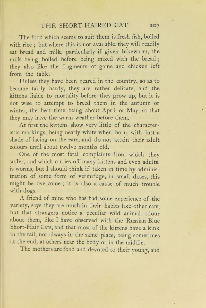 The food which seems to suit them is fresh fish, boiled with rice ; but where this is not available, they will readily eat bread and milk, particularly if given lukewarm, the milk being boiled before being mixed with the bread ; they also like the fragments of game and chicken left from the table. Unless they have been reared in the country, so as to become fairly hardy, they are rather delicate, and the kittens liable to mortality before they grow up, but it is not wise to attempt to breed them in the autumn or winter, the best time being about April or May, so that they may have the warm weather before them. At first the kittens show very little of the character- istic markings, being nearly white when born, with just a shade of lacing on the ears, and do not attain their adult colours until about twelve months old. One of the most fatal complaints from which they suffer, and which carries off many kittens and even adults, is worms, but I should think if taken in time by adminis- tration of some form of vermifuge, in small doses, this might be overcome ; it is also a cause of much trouble with dogs. A friend of mine who has had some experience of the variety, says they are much in their habits like other cats, but that strangers notice a peculiar wild animal odour about them, like I have observed with the Russian Blue Short-Hair Cats, and that most of the kittens have a kink in the tail, not always in the same place, being sometimes at the end, at others near the body or in the middle. The mothers are fond and devoted to their young, and