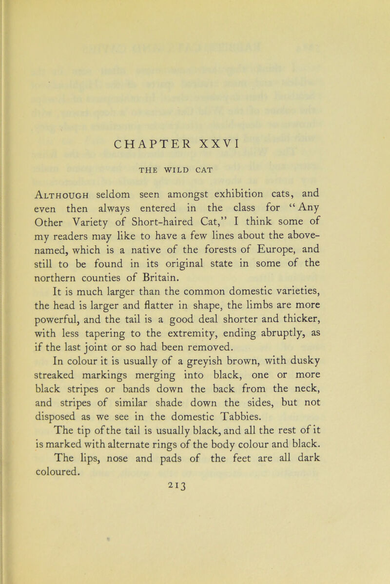 CHAPTER XXVI THE WILD CAT Although seldom seen amongst exhibition cats, and even then always entered in the class for “Any Other Variety of Short-haired Cat,” I think some of my readers may like to have a few lines about the above- named, which is a native of the forests of Europe, and still to be found in its original state in some of the northern counties of Britain. It is much larger than the common domestic varieties, the head is larger and flatter in shape, the limbs are more powerful, and the tail is a good deal shorter and thicker, with less tapering to the extremity, ending abruptly, as if the last joint or so had been removed. In colour it is usually of a greyish brown, with dusky streaked markings merging into black, one or more black stripes or bands down the back from the neck, and stripes of similar shade down the sides, but not disposed as we see in the domestic Tabbies. The tip of the tail is usually black, and all the rest of it is marked with alternate rings of the body colour and black. The lips, nose and pads of the feet are all dark coloured.