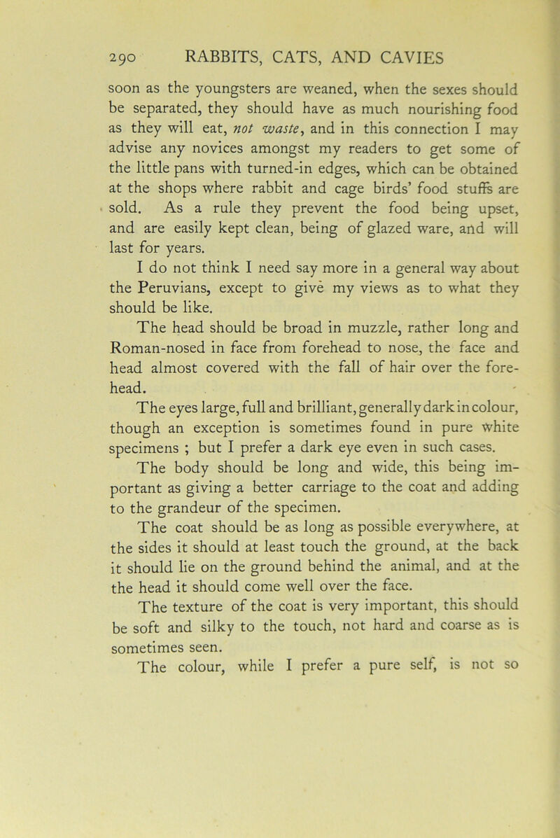 soon as the youngsters are weaned, when the sexes should be separated, they should have as much nourishing food as they will eat, not waste, and in this connection I may advise any novices amongst my readers to get some of the little pans with turned-in edges, which can be obtained at the shops where rabbit and cage birds’ food stuffs are sold. As a rule they prevent the food being upset, and are easily kept clean, being of glazed ware, and will last for years. I do not think I need say more in a general way about the Peruvians, except to give my views as to what they should be like. The head should be broad in muzzle, rather long and Roman-nosed in face from forehead to nose, the face and head almost covered with the fall of hair over the fore- head. The eyes large, full and brilliant, generally dark in colour, though an exception is sometimes found in pure white specimens ; but I prefer a dark eye even in such cases. The body should be long and wide, this being im- portant as giving a better carriage to the coat and adding to the grandeur of the specimen. The coat should be as long as possible everywhere, at the sides it should at least touch the ground, at the back it should lie on the ground behind the animal, and at the the head it should come well over the face. The texture of the coat is very important, this should be soft and silky to the touch, not hard and coarse as is sometimes seen. The colour, while I prefer a pure self, is not so