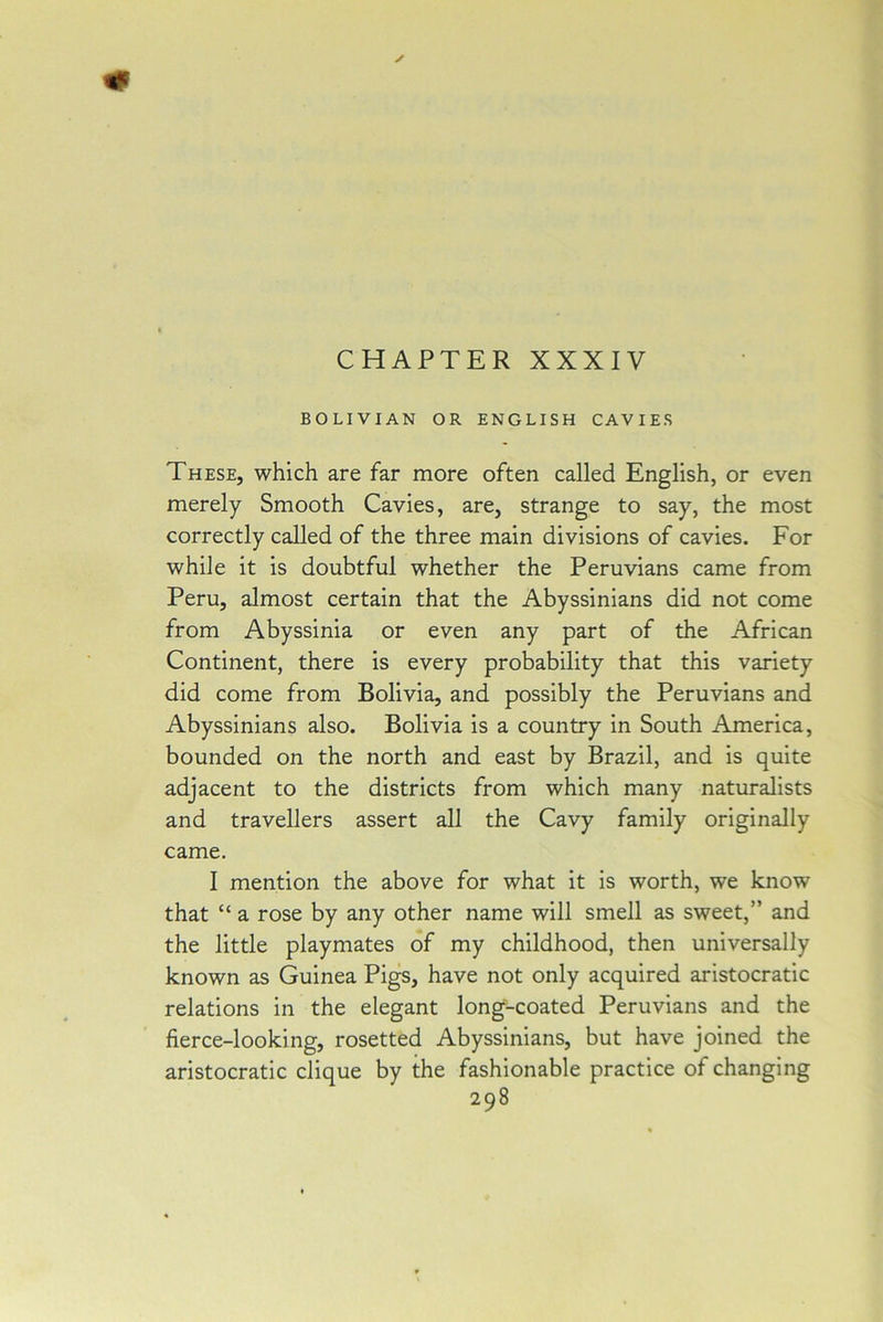 CHAPTER XXXIV BOLIVIAN OR ENGLISH CAVIES These, which are far more often called English, or even merely Smooth Cavies, are, strange to say, the most correctly called of the three main divisions of cavies. For while it is doubtful whether the Peruvians came from Peru, almost certain that the Abyssinians did not come from Abyssinia or even any part of the African Continent, there is every probability that this variety did come from Bolivia, and possibly the Peruvians and Abyssinians also. Bolivia is a country in South America, bounded on the north and east by Brazil, and is quite adjacent to the districts from which many naturalists and travellers assert all the Cavy family originally came. I mention the above for what it is worth, we know that “ a rose by any other name will smell as sweet,” and the little playmates of my childhood, then universally known as Guinea Pigs, have not only acquired aristocratic relations in the elegant long-coated Peruvians and the fierce-looking, rosetted Abyssinians, but have joined the aristocratic clique by the fashionable practice of changing