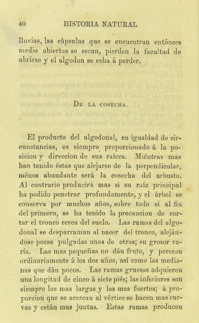 lluvias, las capsulas que se encuentran entônces medio abiertas se secan, pierden la facultad de abrirse y el algodon se echa â perder. De la cosecha. El producto del algodonal, en igualdad de cir- cunstancias, es siempre proporcionado a la po- sicion y direccion de sus raices. Miéntras mas han tenido estas que alejarse de la perpendicular, ménos abuudante sera la cosecha del arbusto. Al contrario producirâ mas si su raiz principal ha podido penetrar profundamente, y el ârbol se conserva por muchos aiîos, sobre todo si al fin del primero, se ha tenido la precaucion de cor- tar el tronco eerca del suelo. Las ramas del al^o- donal se desparraman al nacer del tronco, alejan- dose pocas pulgadas unas de otras; su g-rosor va- ria. Las mas pequenas no dan fruto, y perecan ordinariamente â los dos ailos, asi como las media- nas que dan pocos. Las rainas gruesas adquieren unalong-itud de cinco â siete pies; lasinferiores son siempre las mas larg-as.y las mas fuertes; â pro- porcion que se acercan al vérticese liacen mas cur- vas y estân mas juntas. Estas ramas producen