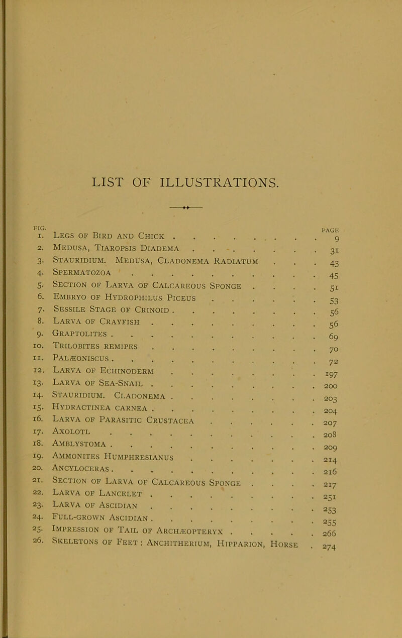 LIST OF ILLUSTRATIONS. FIG. I. Legs of Bird and Chick .... 2. Medusa, Tiaropsis Diadema . . - . 3- Stauridium. Medusa, Cladonema Radiatum 4- Spermatozoa .... 5- Section of Larva of Calcareous Sponge 6. Embryo of Hydrophilus Piceus 7- Sessile Stage of Crinoid .... 8. Larva of Crayfish 9- Graptolites 10. Trilobites remipes II. PALffiONISCUS 12. Larva of Echinoderm .... 13- Larva of Sea-Snail 14. Stauridium. Cladonema .... 15- Hydractinea carnea 16. Larva of Parasitic Crustacea 17- Axolotl 18. Amblystoma 19. Ammonites Humphresianus 20. Ancyloceras 21, Section of Larva of Calcareous Sponge 22. Larva of Lancelet 23- Larva of Ascidian 24. Full-grown Ascidian 25- Impression of Tail of Archaiopteryx . 26. Skeletons of Feet : Anchitherium, I-Iipparion, Horse PAGE 9 • 31 • 43 • 45 • 51 • S3 • 56 • 56 . 69 • 70 • 72 • 197 . 2CX) • 203 . 204 . 207 . 208 . 209 . 214 . 2i6 . 217 • 251 • 253 • 25s . 266 • 274