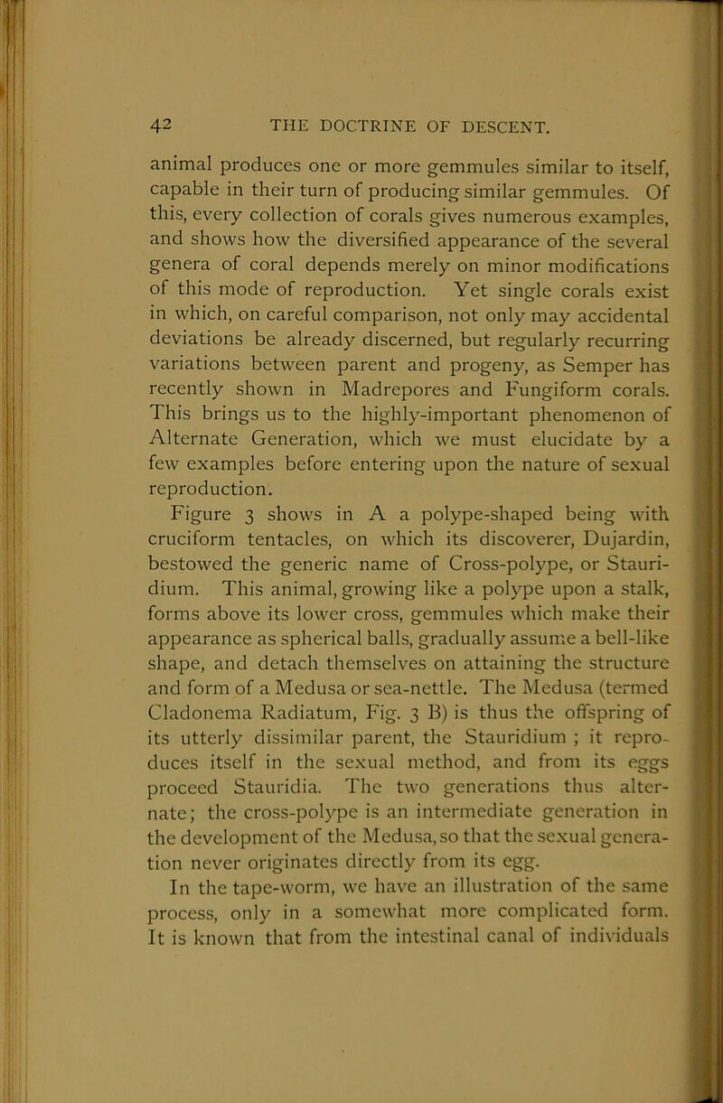 animal produces one or more gemmules similar to itself, capable in their turn of producing similar gemmules. Of this, every collection of corals gives numerous examples, and shows how the diversified appearance of the several genera of coral depends merely on minor modifications of this mode of reproduction. Yet single corals exist in which, on careful comparison, not only may accidental deviations be already discerned, but regularly recurring variations between parent and progeny, as Semper has recently shown in Madrepores and Fungiform corals. This brings us to the highly-important phenomenon of Alternate Generation, which we must elucidate by a few examples before entering upon the nature of sexual reproduction. Figure 3 shows in A a polype-shaped being with cruciform tentacles, on which its discoverer, Dujardin, bestowed the generic name of Cross-polype, or Stauri- dium. This animal, growing like a polype upon a stalk, forms above its lower cross, gemmules which make their appearance as spherical balls, gradually assume a bell-like shape, and detach themselves on attaining the structure and form of a Medusa or sea-nettle. The Medusa (termed Cladonema Radiatum, Fig. 3 B) is thus the offspring of its utterly dissimilar parent, the Stauridium ; it repro- duces itself in the se.xual method, and from its eggs proceed Stauridia. The two generations thus alter- nate; the cross-polype is an intermediate generation in the development of the Medusa, so that the sexual genera- tion never originates directly from its egg. In the tape-worm, we have an illustration of the same process, only in a somewhat more complicated form. It is known that from the intestinal canal of individuals