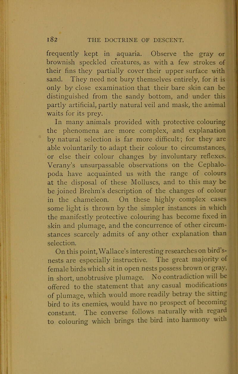 frequently kept in aquaria. Observe the gray or brownish speckled creatures, as with a few strokes of their fins they partially cover their upper surface with sand. They need not bury themselves entirely, for it is only by close examination that their bare skin can be distinguished from the sandy bottom, and under this partly artificial, partly natural veil and mask, the animal waits for its prey. In many animals provided with protective colouring the phenomena are more complex, and explanation by natural selection is far more difficult; for they are able voluntarily to adapt their colour to circumstances, or else their colour changes by involuntary reflexes. Verany’s unsurpassable observations on the Cephalo- poda have acquainted us with the range of colours f at the disposal of these Molluscs, and to this may be i be joined Brehm’s description of the changes of colour { in the chameleon. On these highly complex cases some light is thrown by the simpler instances in which ! the manifestly protective colouring has become fixed in i skin and plumage, and the concurrence of other circum- ' stances scarcely admits of any other explanation than ‘ selection. On this point, Wallace’s interesting researches on bird’s- nests are especially instructive. The great majority of female birds which sit in open nests possess brown or gray, in short, unobtrusive plumage. No contradiction will be offered to the statement that any casual modifications of plumage, which would more readily betray the sitting bird to its enemies, would have no prospect of becoming constant. The converse follows naturally with regard to colouring which brings the bird into harmony with