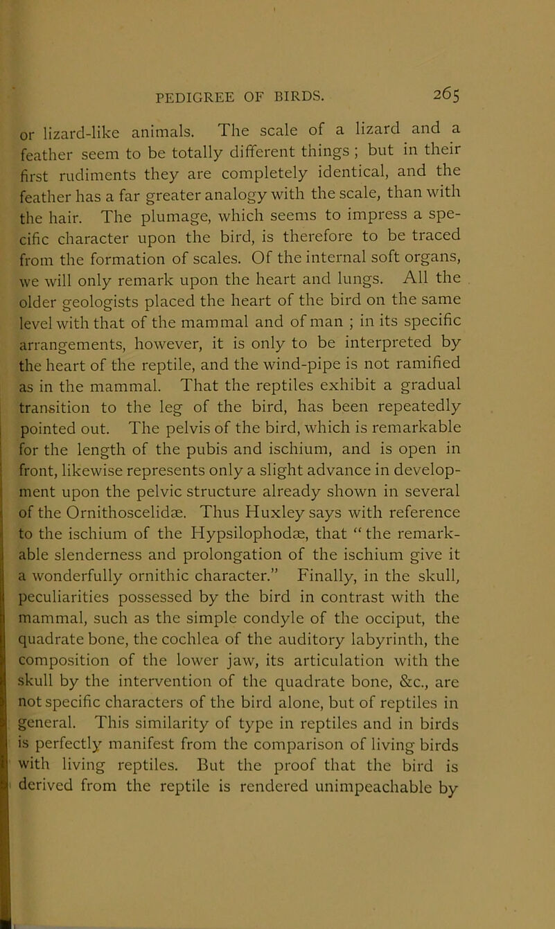 or lizard-like animals. The scale of a lizard and a feather seem to be totally different things ; but in their first rudiments they are completely identical, and the feather has a far greater analogy with the scale, than with the hair. The plumage, which seems to impress a spe- cific character upon the bird, is therefore to be traced from the formation of scales. Of the internal soft organs, we will only remark upon the heart and lungs. All the older geologists placed the heart of the bird on the same level with that of the mammal and of man ; in its specific arrangements, however, it is only to be interpreted by the heart of the reptile, and the wind-pipe is not ramified as in the mammal. That the reptiles exhibit a gradual transition to the leg of the bird, has been repeatedly pointed out. The pelvis of the bird, which is remarkable for the length of the pubis and ischium, and is open in front, likewise represents only a slight advance in develop- ment upon the pelvic structure already shown in several of the Ornithoscelidae. Thus Huxley says with reference to the ischium of the Hypsilophodae, that “ the remark- able slenderness and prolongation of the ischium give it a wonderfully ornithic character.” Finally, in the skull, peculiarities possessed by the bird in contrast with the mammal, such as the simple condyle of the occiput, the quadrate bone, the cochlea of the auditory labyrinth, the composition of the lower jaw, its articulation with the skull by the intervention of the quadrate bone, &c., are not specific characters of the bird alone, but of reptiles in general. This similarity of type in reptiles and in birds is perfectly manifest from the comparison of living birds with living reptiles. But the proof that the bird is derived from the reptile is rendered unimpeachable by