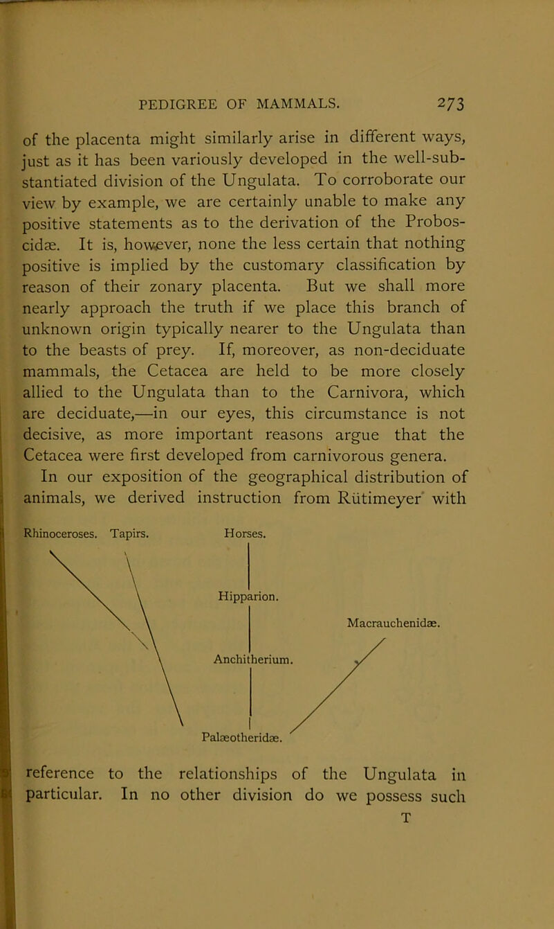 of the placenta might similarly arise in different ways, just as it has been variously developed in the well-sub- stantiated division of the Ungulata. To corroborate our view by example, we are certainly unable to make any positive statements as to the derivation of the Probos- cidse. It is, however, none the less certain that nothing positive is implied by the customary classification by reason of their zonary placenta. But we shall more nearly approach the truth if we place this branch of unknown origin typically nearer to the Ungulata than to the beasts of prey. If, moreover, as non-deciduate mammals, the Cetacea are held to be more closely allied to the Ungulata than to the Carnivora, which are deciduate,—in our eyes, this circumstance is not decisive, as more important reasons argue that the Cetacea were first developed from carnivorous genera. In our exposition of the geographical distribution of animals, we derived instruction from Rutimeyer with Horses. Hipparion. Macrauchenidae. Anchitherium Palasotheridse. Rhinoceroses. Tapirs. reference to the relationships of the Ungulata in particular. In no other division do we possess such