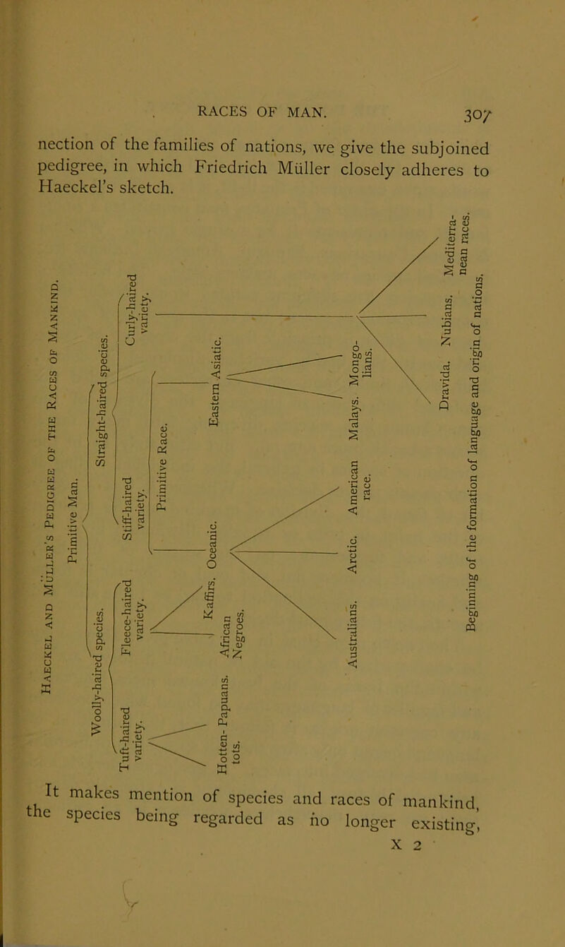 RACES OF MAN. 30/ nection of the families of nations, we give the subjoined pedigree, in which Friedrich Muller closely adheres to Haeckel’s sketch. X 2 V