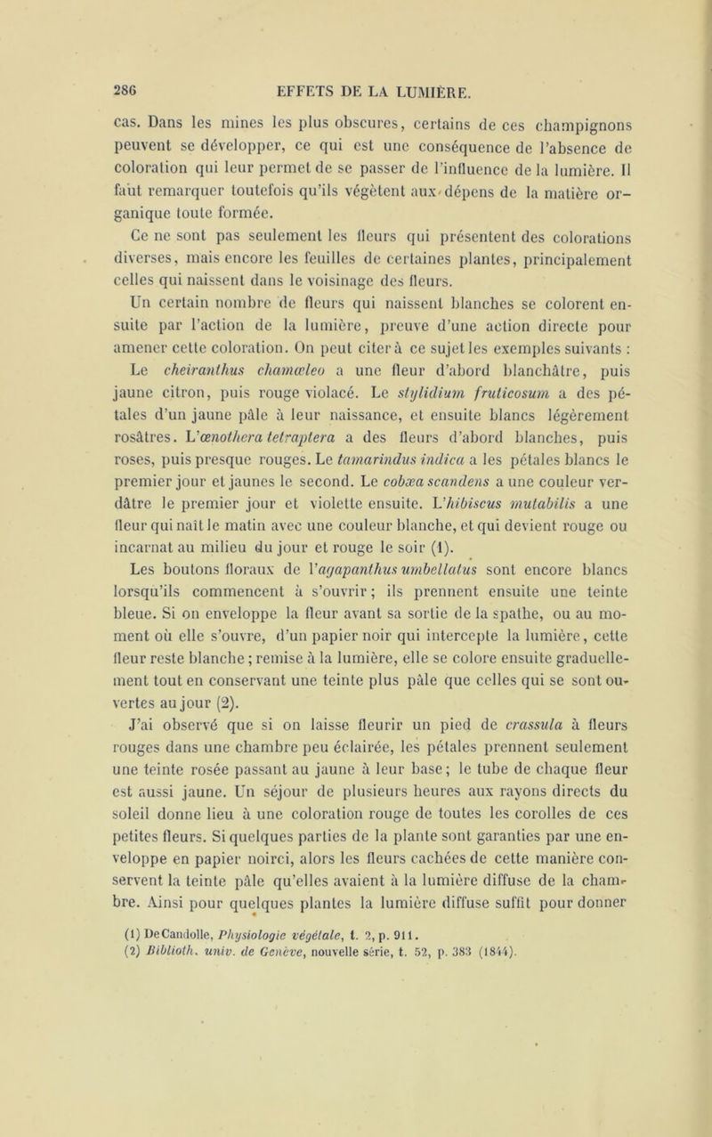 cas. Dans les mines les plus obscures, certains de ces champignons peuvent se développer, ce qui est une conséquence de l’absence de coloration qui leur permet de se passer de l’influence de la lumière. Il faut remarquer toutefois qu’ils végètent aux* dépens de la matière or- ganique toute formée. Ce ne sont pas seulement les Heurs qui présentent des colorations diverses, mais encore les feuilles de certaines plantes, principalement celles qui naissent dans le voisinage des fleurs. Un certain nombre de fleurs qui naissent blanches se colorent en- suite par l’action de la lumière, preuve d’une action directe pour amener cette coloration. On peut citera ce sujet les exemples suivants : Le cheiranthus cliamœleo a une fleur d’abord blanchâtre, puis jaune citron, puis rouge violacé. Le stylidium fruticosum a des pé- tales d’un jaune pâle à leur naissance, et ensuite blancs légèrement rosâtres. Vœnothera tetraptera a des fleurs d’abord blanches, puis roses, puis presque rouges. Le tamarindus indica a les pétales blancs le premier jour et jaunes le second. Le cobæa scandens aune couleur ver- dâtre le premier jour et violette ensuite. Lhibiscus rnutabilis a une fleur qui naît le matin avec une couleur blanche, et qui devient rouge ou incarnat au milieu du jour et rouge le soir (1). Les boutons floraux de l’ayapanlhus umbellalus sont encore blancs lorsqu’ils commencent à s’ouvrir ; ils prennent ensuite une teinte bleue. Si on enveloppe la fleur avant sa sortie de la spathe, ou au mo- ment oii elle s’ouvre, d’un papier noir qui intercepte la lumière, cette fleur reste blanche ; remise à la lumière, elle se colore ensuite graduelle- ment tout en conservant une teinte plus pâle que celles qui se sont ou- vertes au jour (2). J’ai observé que si on laisse fleurir un pied de crassula à fleurs rouges dans une chambre peu éclairée, les pétales prennent seulement une teinte rosée passant au jaune à leur base ; le tube de chaque fleur est aussi jaune. Un séjour de plusieurs heures aux rayons directs du soleil donne lieu à une coloration rouge de toutes les corolles de ces petites fleurs. Si quelques parties de la plante sont garanties par une en- veloppe en papier noirci, alors les fleurs cachées de cette manière con- servent la teinte pâle qu’elles avaient à la lumière diffuse de la cham- bre. Ainsi pour quelques plantes la lumière diffuse suffit pour donner (1) DeCamlolle, Physiologie végétale, t. 2, p. 911. (2) Biblioth. univ. de Genève, nouvelle série, t. 52, p. 383 (1844).
