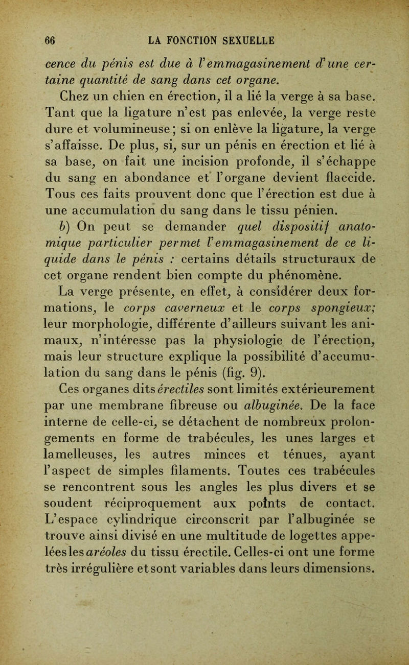 cence du pénis est due à V emmagasine ment d'une cer- taine quantité de sang dans cet organe. Chez un chien en érection, il a lié la verge à sa base. Tant que la ligature n’est pas enlevée, la verge reste dure et volumineuse ; si on enlève la ligature, la verge s’affaisse. De plus, si, sur un pénis en érection et lié à sa base, on fait une incision profonde, il s’échappe du sang en abondance et l’organe devient flaccide. Tous ces faits prouvent donc que l’érection est due à une accumulation du sang dans le tissu pénien. b) On peut se demander quel dispositif anato- mique particulier permet Vemmagasinement de ce li- quide dans le pénis : certains détails structuraux de cet organe rendent bien compte du phénomène. La verge présente, en effet, à considérer deux for- mations, le corps caverneux et le corps spongieux; leur morphologie, différente d’ailleurs suivant les ani- maux, n’intéresse pas la physiologie de l’érection, mais leur structure explique la possibilité d’accumu- lation du sang dans le pénis (fig. 9). Ces organes dits érectiles sont limités extérieurement par une membrane fibreuse ou albuginée. De la face interne de celle-ci, se détachent de nombreux prolon- gements en forme de trabécules, les unes larges et lamelleuses, les autres minces et ténues, ayant l’aspect de simples filaments. Toutes ces trabécules se rencontrent sous les angles les plus divers et se soudent réciproquement aux points de contact. L’espace cylindrique circonscrit par l’albuginée se trouve ainsi divisé en une multitude de logettes appe- lées les aréoles du tissu érectile. Celles-ci ont une forme très irrégulière et sont variables dans leurs dimensions.