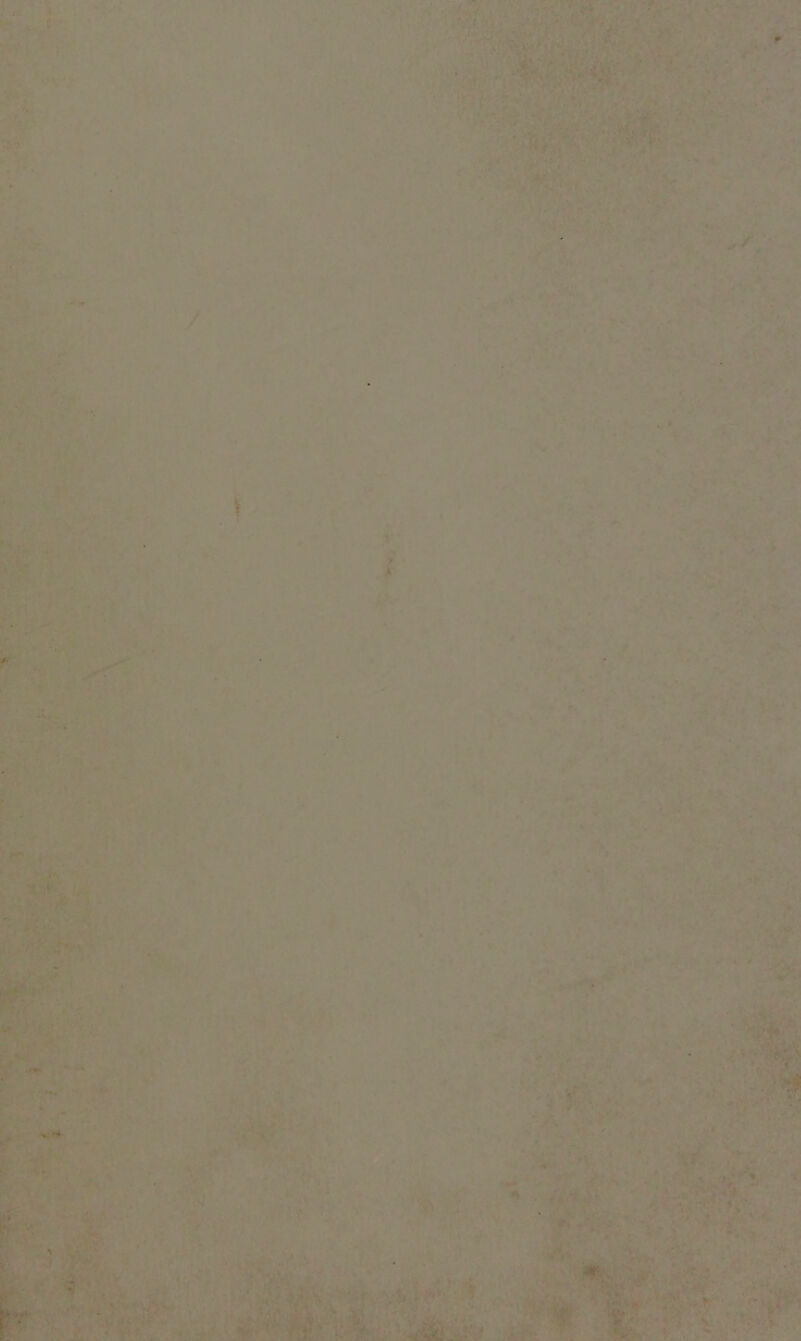 V r A ■•'.1 fil'-