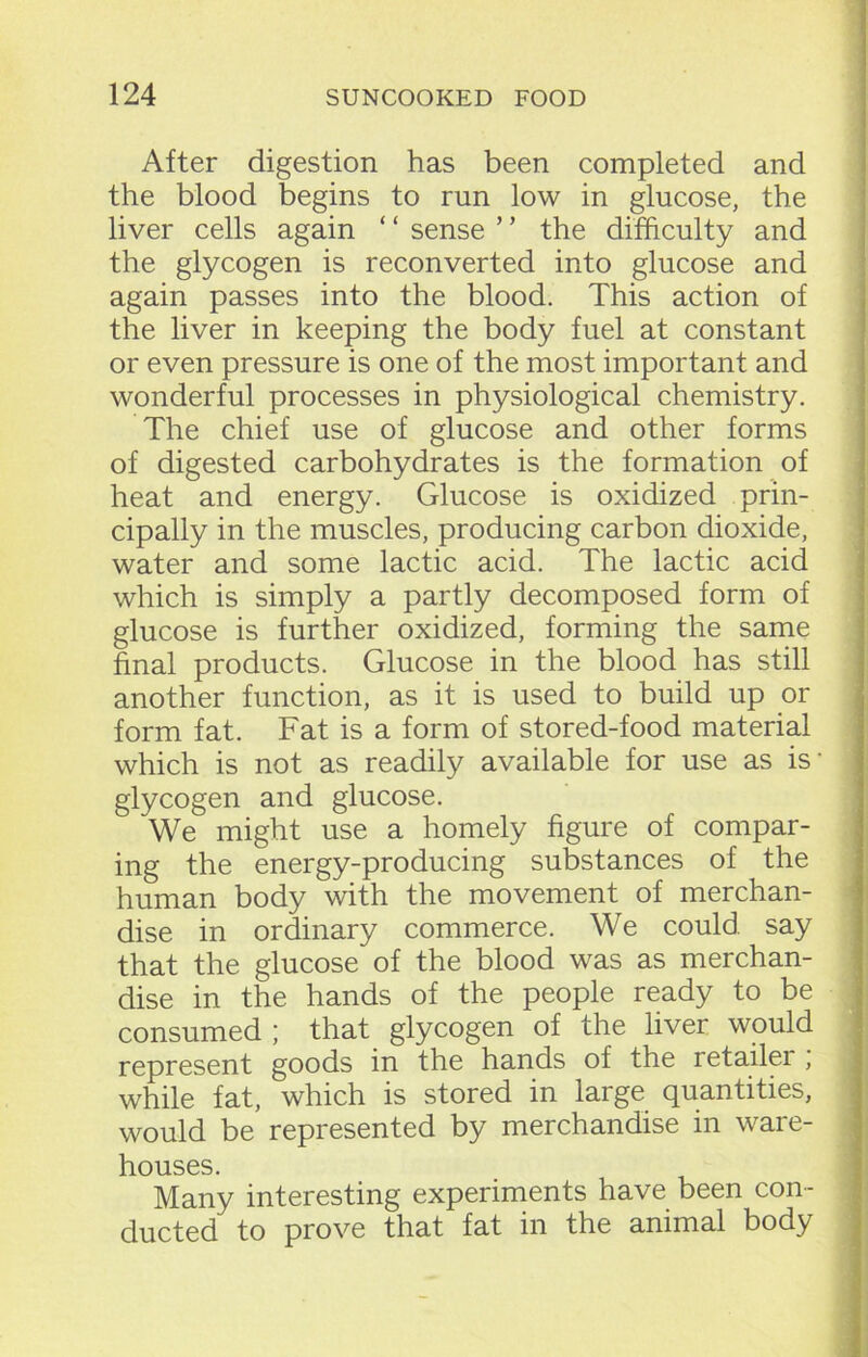 After digestion has been completed and the blood begins to run low in glucose, the liver cells again ‘ ‘ sense ’ ’ the difficulty and the glycogen is reconverted into glucose and again passes into the blood. This action of the liver in keeping the body fuel at constant or even pressure is one of the most important and wonderful processes in physiological chemistry. The chief use of glucose and other forms of digested carbohydrates is the formation of heat and energy. Glucose is oxidized prin- cipally in the muscles, producing carbon dioxide, water and some lactic acid. The lactic acid which is simply a partly decomposed form of glucose is further oxidized, forming the same final products. Glucose in the blood has still another function, as it is used to build up or form fat. Fat is a form of stored-food material which is not as readily available for use as is- glycogen and glucose. We might use a homely figure of compar- ing the energy-producing substances of the human body with the movement of merchan- dise in ordinary commerce. We could say that the glucose of the blood was as merchan- dise in the hands of the people ready to be consumed ; that glycogen of the liver would represent goods in the hands of the retailei , while fat, which is stored in large quantities, would be represented by merchandise in ware- houses. Many interesting experiments have been con- ducted to prove that fat in the animal body