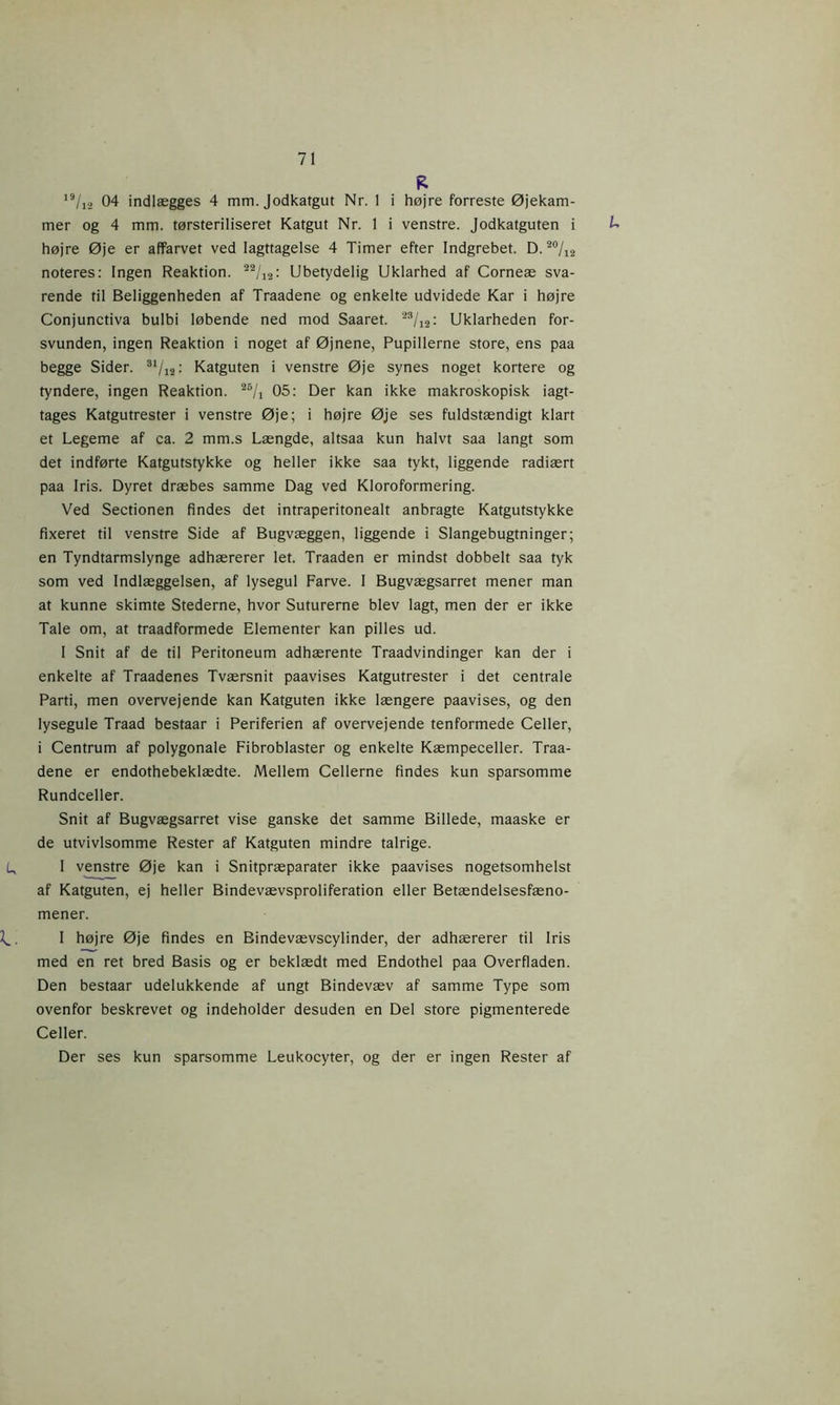 R 19/12 04 indlægges 4 mm. Jodkatgut Nr. 1 i højre forreste Øjekam- mer og 4 mm. tørsteriliseret Katgut Nr. 1 i venstre. Jodkatguten i /-> højre Øje er affarvet ved Iagttagelse 4 Timer efter Indgrebet. D. 20/12 noteres: Ingen Reaktion. 22/12: Ubetydelig Uklarhed af Corneæ sva- rende til Beliggenheden af Traadene og enkelte udvidede Kar i højre Conjunctiva bulbi løbende ned mod Saaret. 23/12: Uklarheden for- svunden, ingen Reaktion i noget af Øjnene, Pupillerne store, ens paa begge Sider. 31/i2: Katguten i venstre Øje synes noget kortere og tyndere, ingen Reaktion. 28/j 05: Der kan ikke makroskopisk iagt- tages Katgutrester i venstre Øje; i højre Øje ses fuldstændigt klart et Legeme af ca. 2 mm.s Længde, altsaa kun halvt saa langt som det indførte Katgutstykke og heller ikke saa tykt, liggende radiært paa Iris. Dyret dræbes samme Dag ved Kloroformering. Ved Sectionen findes det intraperitonealt anbragte Katgutstykke fixeret til venstre Side af Bugvæggen, liggende i Slangebugtninger; en Tyndtarmslynge adhærerer let. Traaden er mindst dobbelt saa tyk som ved Indlæggelsen, af lysegul Farve. I Bugvægsarret mener man at kunne skimte Stederne, hvor Suturerne blev lagt, men der er ikke Tale om, at traadformede Elementer kan pilles ud. I Snit af de til Peritoneum adhærente Traadvindinger kan der i enkelte af Traadenes Tværsnit paavises Katgutrester i det centrale Parti, men overvejende kan Katguten ikke længere paavises, og den lysegule Traad bestaar i Periferien af overvejende tenformede Celler, i Centrum af polygonale Fibroblaster og enkelte Kæmpeceller. Traa- dene er endothebeklædte. Mellem Cellerne findes kun sparsomme Rundceller. Snit af Bugvægsarret vise ganske det samme Billede, maaske er de utvivlsomme Rester af Katguten mindre talrige. L, I venstre Øje kan i Snitpræparater ikke paavises nogetsomhelst af Katguten, ej heller Bindevævsproliferation eller Betændelsesfæno- mener. I højre Øje findes en Bindevævscylinder, der adhærerer til Iris med en ret bred Basis og er beklædt med Endothel paa Overfladen. Den bestaar udelukkende af ungt Bindevæv af samme Type som ovenfor beskrevet og indeholder desuden en Del store pigmenterede Celler. Der ses kun sparsomme Leukocyter, og der er ingen Rester af