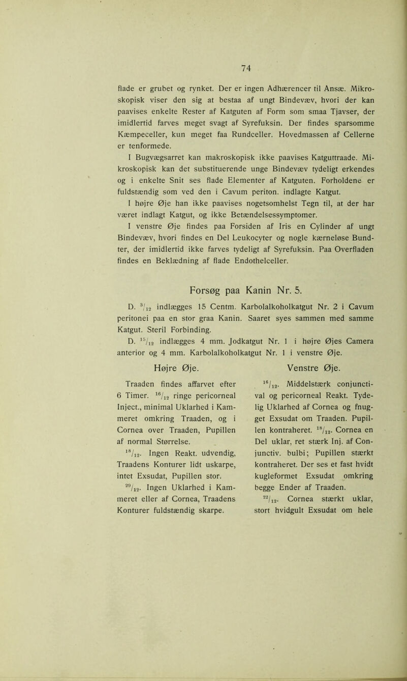 flade er grubet og rynket. Der er ingen Adhærencer til Ansæ. Mikro- skopisk viser den sig at bestaa af ungt Bindevæv, hvori der kan paavises enkelte Rester af Katguten af Form som smaa Tjavser, der imidlertid farves meget svagt af Syrefuksin. Der findes sparsomme Kæmpeceller, kun meget faa Rundceller. Hovedmassen af Cellerne er tenformede. I Bugvægsarret kan makroskopisk ikke paavises Katguttraade. Mi- kroskopisk kan det substituerende unge Bindevæv tydeligt erkendes og i enkelte Snit ses flade Elementer af Katguten. Forholdene er fuldstændig som ved den i Cavum periton. indlagte Katgut. 1 højre Øje han ikke paavises nogetsomhelst Tegn til, at der har været indlagt Katgut, og ikke Betændelsessymptomer. I venstre Øje findes paa Forsiden af Iris en Cylinder af ungt Bindevæv, hvori findes en Del Leukocyter og nogle kærneløse Bund- ter, der imidlertid ikke farves tydeligt af Syrefuksin. Paa Overfladen findes en Beklædning af flade Endothelceller. Forsøg paa Kanin Nr. 5. D. 3/j2 indlægges 15 Centm. Karbolalkoholkatgut Nr. 2 i Cavum peritonei paa en stor graa Kanin. Saaret syes sammen med samme Katgut. Steril Forbinding. D. !5/12 indlægges 4 mm. Jodkatgut Nr. 1 i højre Øjes Camera anterior og 4 mm. Karbolalkoholkatgut Nr. 1 i venstre Øje. Højre Øje. Traaden findes affarvet efter 6 Timer. 16/12 ringe pericorneal Inject., minimal Uklarhed i Kam- meret omkring Traaden, og i Cornea over Traaden, Pupillen af normal Størrelse. 1S/12. Ingen Reakt, udvendig, Traadens Konturer lidt uskarpe, intet Exsudat, Pupillen stor. 29/i2- Ingen Uklarhed i Kam- meret eller af Cornea, Traadens Konturer fuldstændig skarpe. Venstre Øje. 16/12. Middelstærk conjuncti- val og pericorneal Reakt. Tyde- lig Uklarhed af Cornea og fnug- get Exsudat om Traaden. Pupil- len kontraheret. 18/12. Cornea en Del uklar, ret stærk Inj. af Con- junctiv. bulbi; Pupillen stærkt kontraheret. Der ses et fast hvidt kugleformet Exsudat omkring begge Ender af Traaden. ‘22/12. Cornea stærkt uklar, stort hvidgult Exsudat om hele