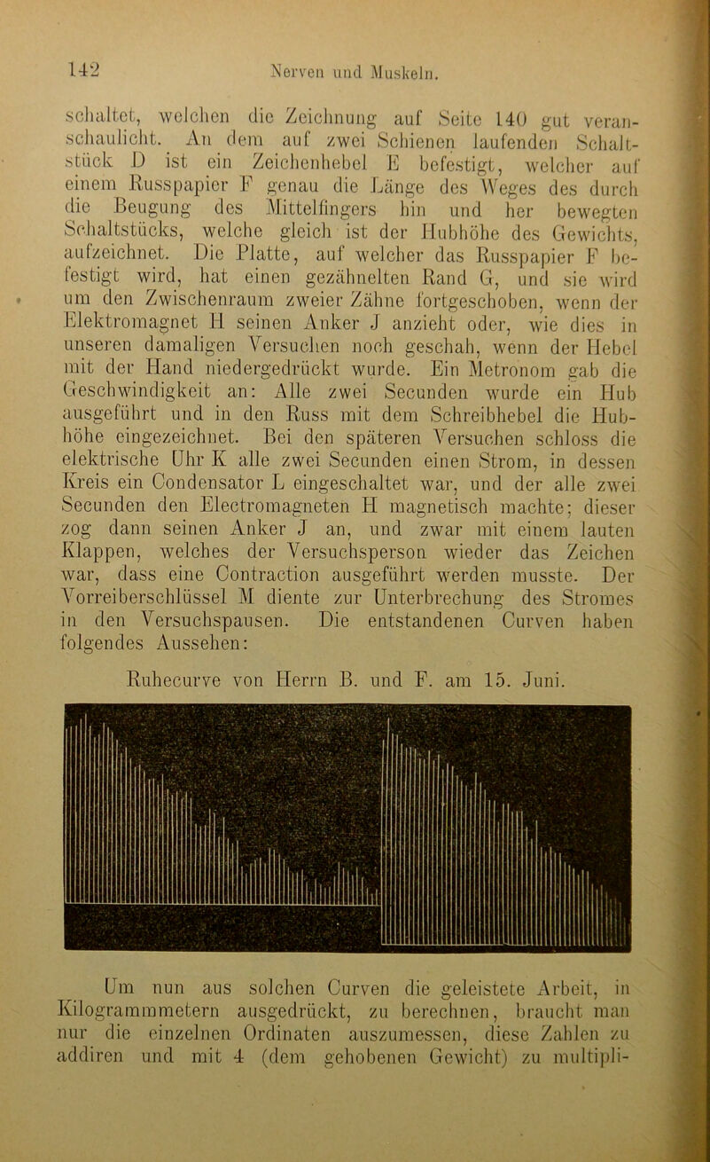 schaltet, welchen die Zeichnung auf Seite 140 gut veran- schaulicht. An dem aul zwei Schienen laufenden Schalt- stück D ist ein Zeichenhebel E befestigt, welcher auf einem Russpapier F genau die Länge des Weges des durch die Beugung des Mittelfingers hin und her bewegten Schaltstücks, welche gleich ist der Hubhöhe des Gewichts, aufzeichnet. Die Platte, auf welcher das Russpapier F be- festigt wird, hat einen gezähnelten Rand G, und sie wird um den Zwischenraum zweier Zähne fortgeschoben, wenn der Elektromagnet El seinen Anker J anzieht oder, wie dies in unseren damaligen Versuchen noch geschah, wenn der Hebel mit der Eland niedergedrückt wurde. Ein Metronom gab die Geschwindigkeit an: Alle zwei Secunden wurde ein Elub ausgeführt und in den Russ mit dem Schreibhebel die Hub- höhe eingezeichnet. Bei den späteren Versuchen schloss die elektrische Uhr K alle zwei Secunden einen Strom, in dessen Kreis ein Condensator L eingeschaltet war, und der alle zwei Secunden den Electromagneten EI magnetisch machte; dieser zog dann seinen Anker J an, und zwar mit einem lauten Klappen, welches der Versuchsperson wieder das Zeichen war, dass eine Contraction ausgeführt werden musste. Der Vorreiberschlüssel M diente zur Unterbrechung des Stromes in den Versuchspausen. Die entstandenen Curven haben folgendes Aussehen: Ruhecurve von Herrn B. und F. am 15. Juni. Um nun aus solchen Curven die geleistete Arbeit, in Kilogrammmetern ausgedrückt, zu berechnen, braucht man nur die einzelnen Ordinaten auszumessen, diese Zahlen zu addiren und mit 4 (dem gehobenen Gewicht) zu multipli-