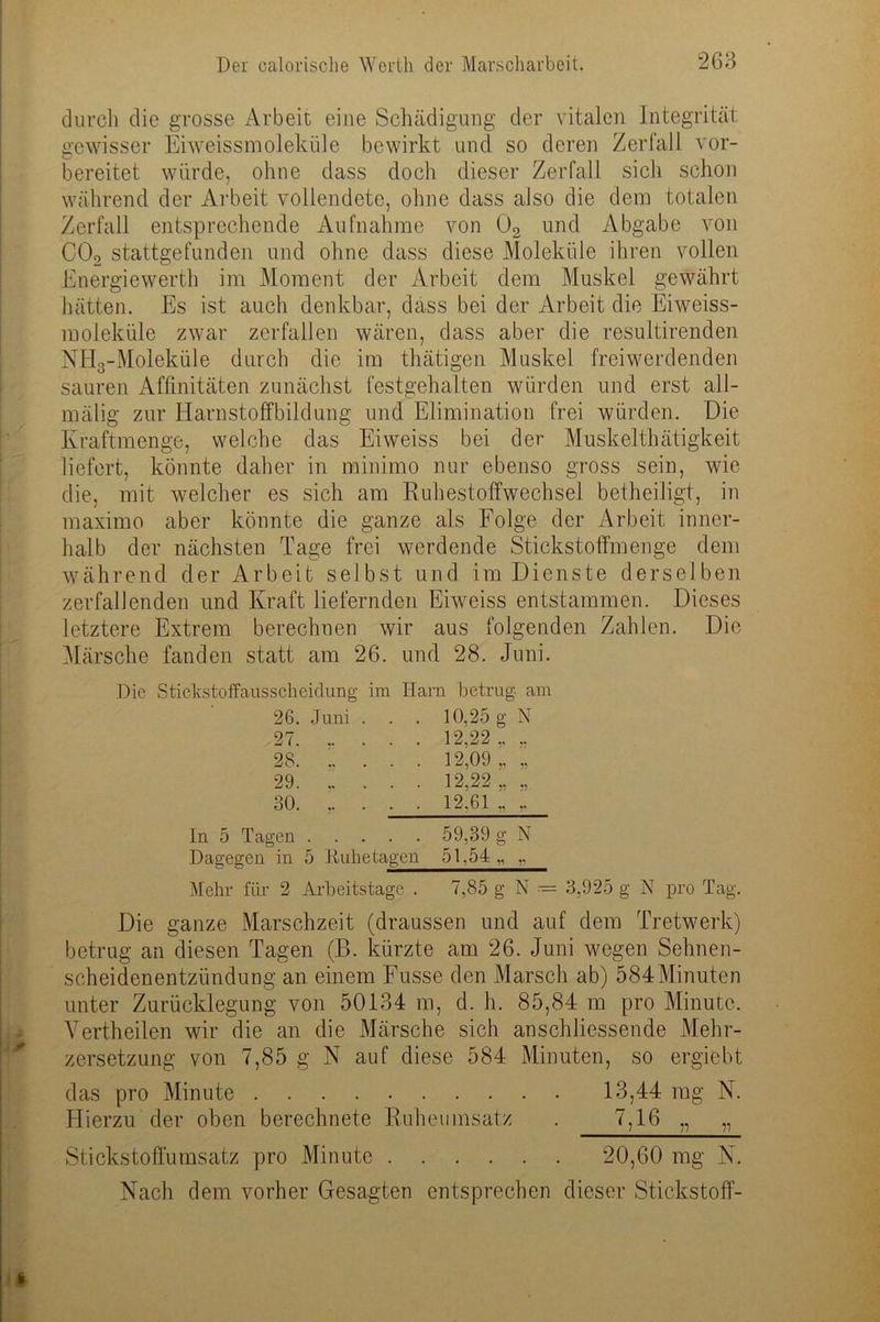 durch die grosse Arbeit eine Schädigung der vitalen Integrität gewisser Eiweissmoleküle bewirkt und so deren Zerfall vor- bereitet würde, ohne dass doch dieser Zerfall sich schon während der Arbeit vollendete, ohne dass also die dem totalen Zerfall entsprechende Aufnahme von 02 und Abgabe von C02 stattgefunden und ohne dass diese Moleküle ihren vollen Energiewerth im Moment der Arbeit dem Muskel gewährt hätten. Es ist auch denkbar, dass bei der Arbeit die Eiweiss- moieküle zwar zerfallen wären, dass aber die resultirenden NHg-Moleküle durch die im thätigen Muskel freiwerdenden sauren Affinitäten zunächst festgehalten würden und erst all- mälig zur Harnstoffbildung und Elimination frei würden. Die Kraftmenge, welche das Eiweiss bei der Muskelthätigkeit liefert, könnte daher in minimo nur ebenso gross sein, wie die, mit welcher es sich am Ruhestoffwechsel betheiligt, in maximo aber könnte die ganze als Folge der Arbeit inner- halb der nächsten Tage frei werdende Stickstoffmenge dem während der Arbeit selbst und im Dienste derselben zerfallenden und Kraft liefernden Eiweiss entstammen. Dieses letztere Extrem berechnen wir aus folgenden Zahlen. Die Märsche fanden statt am 26. und 28. Juni. Die Stickstoffausscheidung im Harn betrug am 26. Juni 27. .. 28. .. 29. .. 30. .. In 5 Tagen . . . Dagegen in 5 Kühe tagen Mehr für 2 Arbeitstage . 10,25 g 12,22 .. 12,09 12,22 „ 12.61 N 59,39 g N 51,54 „ „ 7,85 g N — 3,925 g N pro Tag. Die ganze Marschzeit (draussen und auf dem Tretwerk) betrug an diesen Tagen (B. kürzte am 26. Juni wegen Sehnen- scheidenentzündung an einem Fusse den Marsch ab) 584Minuten unter Zurücklegung von 50134 m, d. h. 85,84 m pro Minute. Verth eilen wir die an die Märsche sich anschliessende Mehr- zersetzung von 7,85 g N auf diese 584 Minuten, so ergiebt das pro Minute 13,44 rag N. Hierzu der oben berechnete Ruheumsatz . 7,16 „ „ Stickstoffümsatz pro Minute 20,60 mg N. Nach dem vorher Gesagten entsprechen dieser Stickstoff-
