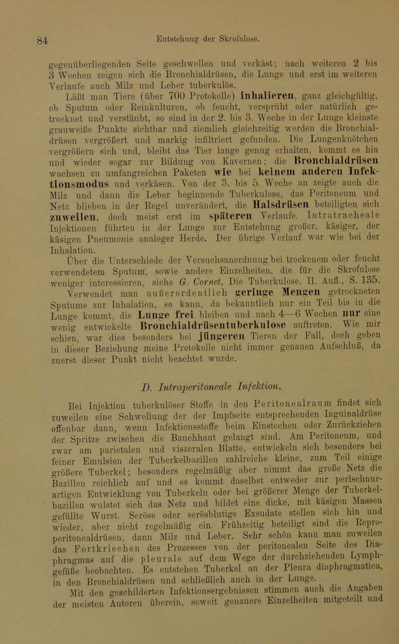 gegenüberliegenden Seite geschwollen und verkäst; nach weiteren 2 bis 3 Wochen zeigen sich die Bronchialdrüsen, die Lunge und erst im weiteren Verlaufe auch Milz und Leber tuberkulös. Läßt man Tiere (über 700 Protokolle) inhalieren, ganz gleichgültig, ob Sputum oder Reinkulturen, ob feucht, versprüht oder natürlich ge- trocknet und verstäubt, so sind in der 2. bis 3. Woche in der Lunge kleinste grauweiße Punkte sichtbar und ziemlich gleichzeitig werden die Bronchial- drüsen vergrößert und markig infiltriert gefunden. Die Lungenknötchen vergrößern sich und, bleibt das Tier lange genug erhalten, kommt es hin und wieder sogar zur Bildung von Kavernen; die Bronchialdriisen wachsen zu umfangreichen Paketen wie bei keinem anderen luiek- tionSBiodllS und verkäsen. Von der 3. bis 5. Woche an zeigte auch die Milz und dann die Leber beginnende Tuberkulose, das Peritoneum und Netz blieben in der Regel unverändert, die llalsdriisen beteiligten sich zuweilen, doch meist erst im späteren Verlaufe. Intratracheale Injektionen führten in der Lunge zur Entstehung großer, käsiger, der käsigen Pneumonie analoger Herde. Der übrige Verlauf war wie bei der Inhalation. Über die Unterschiede der Versuchsanordnung bei trockenem oder feucht verwendetem Sputum, sowie andere Einzelheiten, die für die Skrofulöse weniger interessieren, siehe G. Cornet, Die Tuberkulose, II. Aull., S. 135. Verwendet man außerordentlich geringe Mengen getrockneten Sputums zur Inhalation, so kann, da bekanntlich nur ein Teil bis in die Lunge kommt, die Lunge frei bleiben und nach 4—6 Wochen nur eine wenig entwickelte Broneliialdrüsentuherkulosc auftreten. Wie mir schien, war dies besonders bei jüngeren Tieren der Fall, doch geben in dieser Beziehung meine Protokolle nicht immer genauen Aufschluß, da zuerst dieser Punkt nicht beachtet wurde. D. Intraperitoneale Infeldion. Bei Injektion tuberkulöser Stoffe in den Peritonealraum findet sich zuweilen eine Schwellung der der Impfseite entsprechenden Inguinaldrüse offenbar dann, wenn Infektionsstoffe beim Einstechen oder Zurückziehen der Spritze zwischen die Bauchhaut gelangt sind. Am Peritoneum, und zwar am parietalen und viszeralen Blatte, entwickeln sich besonders bei feiner Emulsion der Tuberkelbazillen zahlreiche kleine, zum Teil einige größere Tuberkel; besonders regelmäßig aber nimmt das große Netz die Bazillen reichlich auf und es kommt daselbst entweder zur perlschnur- artigen Entwicklung von Tuberkeln oder bei größerer Menge der Tuberkel- bazillen wulstet sich das Netz und bildet eine dicke, mit käsigen Massen o-efüllte Wurst. Seröse oder serösblutige Exsudate stellen sich hin und wieder, aber nicht regelmäßig ein. Frühzeitig beteiligt sind die Repio- peritonealdrüsen, dann Milz und Leber. Sehr schön kann man zuweilen das Fortkriechen des Prozesses von der peritonealen Seite des Dia- phragmas auf die pleurale auf dem Wege der durchziehenden Lymph- gefäße beobachten. Es entstehen Tuberkel an der Pleura diaphragmatica, in den Bronchialdrüsen und schließlich auch in der Lunge. Mit den geschilderten Infektionsergebnissen stimmen auch die Angaben der meisten Autoren überein, soweit genauere Einzelheiten mitgeteilt und