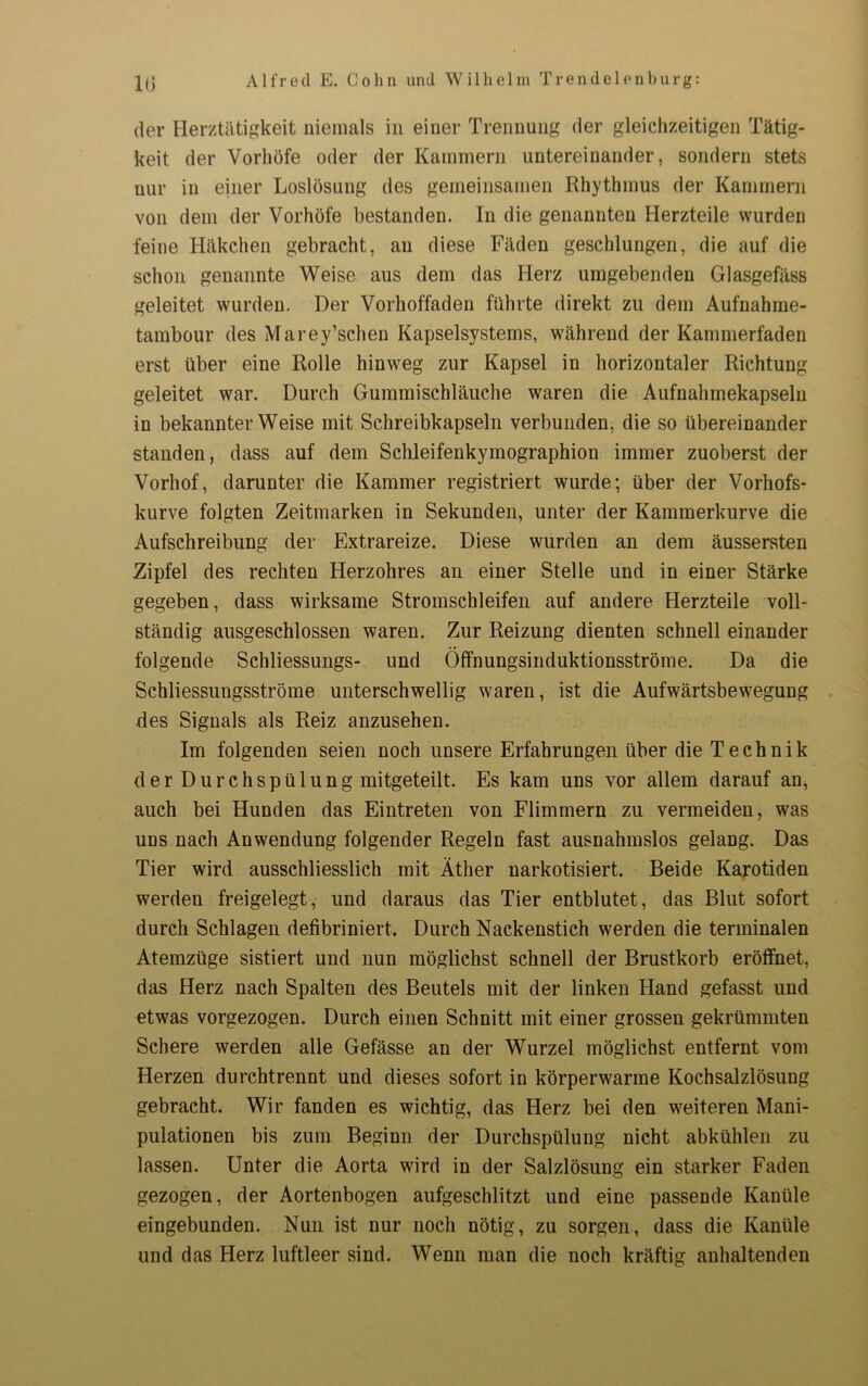 der Herztätigkeit niemals in einer Trennung der gleichzeitigen Tätig- keit der Vorhöfe oder der Kammern untereinander, sondern stets nur in einer Loslösung des gemeinsamen Rhythmus der Kammern von dem der Vorhöfe bestanden. In die genannten Herzteile wurden feine Häkchen gebracht, au diese Fäden geschlungen, die auf die schon genannte Weise aus dem das Herz umgebenden Glasgefäss geleitet wurden. Der Vorhoffaden führte direkt zu dem Aufnahme- tambour des Marey’schen Kapselsystems, während der Kammerfäden erst über eine Rolle hinweg zur Kapsel in horizontaler Richtung geleitet war. Durch Gummischläuche waren die Aufnahmekapseln in bekannterWeise mit Schreibkapseln verbunden, die so übereinander standen, dass auf dem Schleifenkymographion immer zuoberst der Vorhof, darunter die Kammer registriert wurde; über der Vorhofs- kurve folgten Zeitmarken in Sekunden, unter der Kammerkurve die Abschreibung der Extrareize. Diese wurden an dem äussersten Zipfel des rechten Herzohres an einer Stelle und in einer Stärke gegeben, dass wirksame Stromschleifen auf andere Herzteile voll- ständig ausgeschlossen waren. Zur Reizung dienten schnell einander folgende Schliessungs- und Öffnungsinduktionsströme. Da die Schliessungsströme unterschwellig waren, ist die Aufwärtsbewegung des Signals als Reiz anzusehen. Im folgenden seien noch unsere Erfahrungen über die Technik der Durchspülung mitgeteilt. Es kam uns vor allem darauf an, auch bei Hunden das Eintreten von Flimmern zu vermeiden, was uns nach Anwendung folgender Regeln fast ausnahmslos gelang. Das Tier wird ausschliesslich mit Äther narkotisiert. Beide Karotiden werden freigelegt, und daraus das Tier entblutet, das Blut sofort durch Schlagen defibriniert. Durch Nackenstich werden die terminalen Atemzüge sistiert und nun möglichst schnell der Brustkorb eröffnet, das Herz nach Spalten des Beutels mit der linken Hand gefasst und etwas vorgezogen. Durch einen Schnitt mit einer grossen gekrümmten Schere werden alle Gefässe an der Wurzel möglichst entfernt vom Herzen durchtrennt und dieses sofort in körperwarme Kochsalzlösung gebracht. Wir fanden es wichtig, das Herz bei den weiteren Mani- pulationen bis zum Beginn der Durchspülung nicht abkühlen zu lassen. Unter die Aorta wird in der Salzlösung ein starker Faden gezogen, der Aortenbogen aufgeschlitzt und eine passende Kanüle eingebunden. Nun ist nur noch nötig, zu sorgen, dass die Kanüle und das Herz luftleer sind. Wenn man die noch kräftig anhaltenden