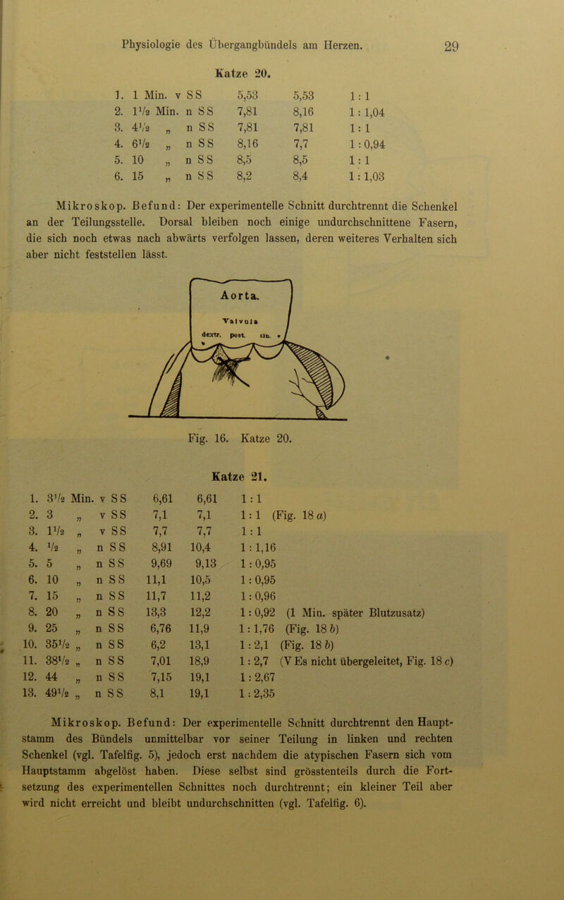 Katze 20. 1. 1 Min. v S S 5,53 5,53 1:1 2. D/a Min. n SS 7,81 8,16 1 : 1,04 8. 4Va „ n SS 7,81 7,81 1: 1 4. 6Va „ n SS 8,16 7,7 1 : 0,94 5. 10 „ n SS 8,5 8,5 1 : 1 6. 15 „ n SS 8,2 8,4 1 : 1,03 Mikroskop. Befund: Der experimentelle Schnitt durchtrennt die Schenkel an der Teilungsstelle. Dorsal bleiben noch einige undurchschnittene Fasern, die sich noch etwas nach abwärts verfolgen lassen, deren weiteres Verhalten sich aber nicht feststellen lässt. Katze 21. 1. 3Va Min. v SS 6,61 6,61 2. 3 „ v SS 7,1 7,1 3. lVs n V SS 7,7 7,7 4. Va „ n SS 8,91 10,4 5. 5 „ n SS 9,69 9,13 6. 10 „ n S S 11,1 10,5 7. 15 „ n SS 11,7 11,2 8. 20 „ n SS 13,3 12,2 9. 25 „ n SS 6,76 11,9 10. 35Va „ n SS 6,2 13,1 11. 38l/a „ n SS 7,01 18,9 12. 44 „ n SS 7,15 19,1 13. 49Va „ n SS 8,1 19,1 1 : 1 1:1 (Fig. 18 a) 1 : 1 1 : 1,16 1 : 0,95 1 : 0,95 1 : 0,96 1: 0,92 (1 Min. später Blutzusatz) 1:1,76 (Fig. 18 6) 1:2,1 (Fig. 18 b) 1: 2,7 (V Es nicht übergeleitet, Fig. 18 c) 1:2,67 1; 2,35 Mikroskop. Befund: Der experimentelle Schnitt durchtrennt den Haupt- stamm des Bündels unmittelbar vor seiner Teilung in linken und rechten Schenkel (vgl. Tafelfig. 5), jedoch erst nachdem die atypischen Fasern sich vom Hauptstamm abgelöst haben. Diese selbst sind grösstenteils durch die Fort- setzung des experimentellen Schnittes noch durchtrennt; ein kleiner Teil aber