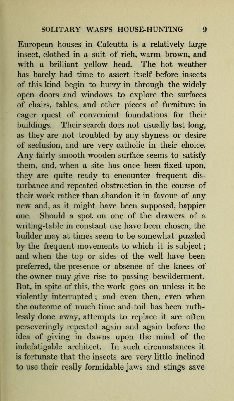 European houses in Calcutta is a relatively large insect, clothed in a suit of rich, warm brown, and with a brilliant yellow head. The hot weather has barely had time to assert itself before insects of this kind begin to hurry in through the widely open doors and windows to explore the surfaces of chairs, tables, and other pieces of furniture in eager quest of convenient foundations for their buildings. Their search does not usually last long, as they are not troubled by any shyness or desire of seclusion, and are very catholic in their choice. Any fairly smooth wooden surface seems to satisfy them, and, when a site has once been fixed upon, they are quite ready to encounter frequent dis- turbance and repeated obstruction in the course of their work rather than abandon it in favour of any new and, as it might have been supposed, happier one. Should a spot on one of the drawers of a writing-table in constant use have been chosen, the builder may at times seem to be somewhat puzzled by the frequent movements to which it is subject; and when the top or sides of the well have been preferred, the presence or absence of the knees of the owner may give rise to passing bewilderment. But, in spite of this, the work goes on unless it be violently interrupted; and even then, even when the outcome of much time and toil has been ruth- lessly done away, attempts to replace it are often perseveringly repeated again and again before the idea of giving in dawns upon the mind of the indefatigable architect. In such circumstances it is fortunate that the insects are very little inclined to use their really formidable jaws and stings save