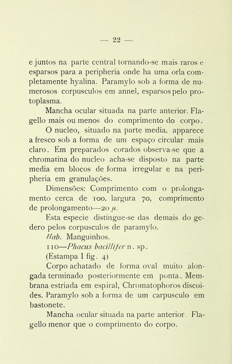 e juntos na parte central tornando-se mais raros e esparsos para a peripheria onde ha uma orla com- pletamente hyalina. Paramylo sob a forma de nu- merosos corpúsculos em annel, esparsos pelo pro- toplasma. Mancha ocular situada na parte anterior. Fla- gello mais ou menos do comprimento do corpo. O núcleo, situado na parte media, apparece a fresco sob a forma de um espaço circular mais claro. Em preparados corados observa-se que a chromatina do núcleo acha-se disposto na parte media em blocos de forma irregular e na peri- pheria em granulações. Dimensões: Comprimento com o prolonga- mento cerca de ioo, largura 70, comprimento de prolongamento—20 /c Esta especie distingue-se das demais do ge- dero pelos corpúsculos de paramylo. Hab. Manguinhos. 110—Phacus bacillijer n . sp. (Estampa I fig. 4) Corpo achatado de forma oval muito alon- gada terminado posteriormente em ponta. Mem- brana estriada em espiral, Chromatophoros discoi- des. Paramylo sob a forma de um carpusculo em bastonete. Mancha ocular situada na parte anterior. Fla- gello menor que o comprimento do corpo.