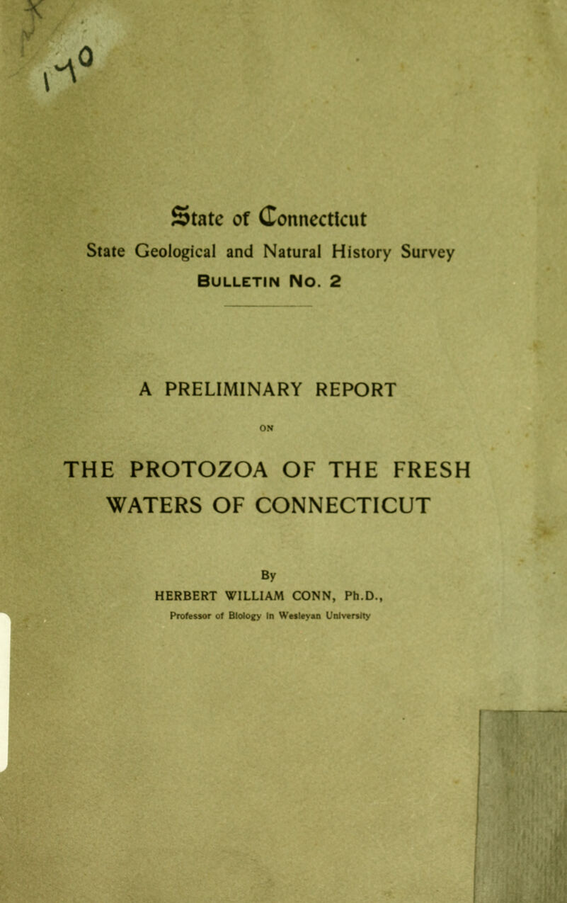 State of Connecticut State Geological and Natural History Survey Bulletin No. 2 A PRELIMINARY REPORT ON THE PROTOZOA OF THE FRESH WATERS OF CONNECTICUT By HERBERT WILLIAM CONN, Ph.D., Professor of Biology in Wesleyan University