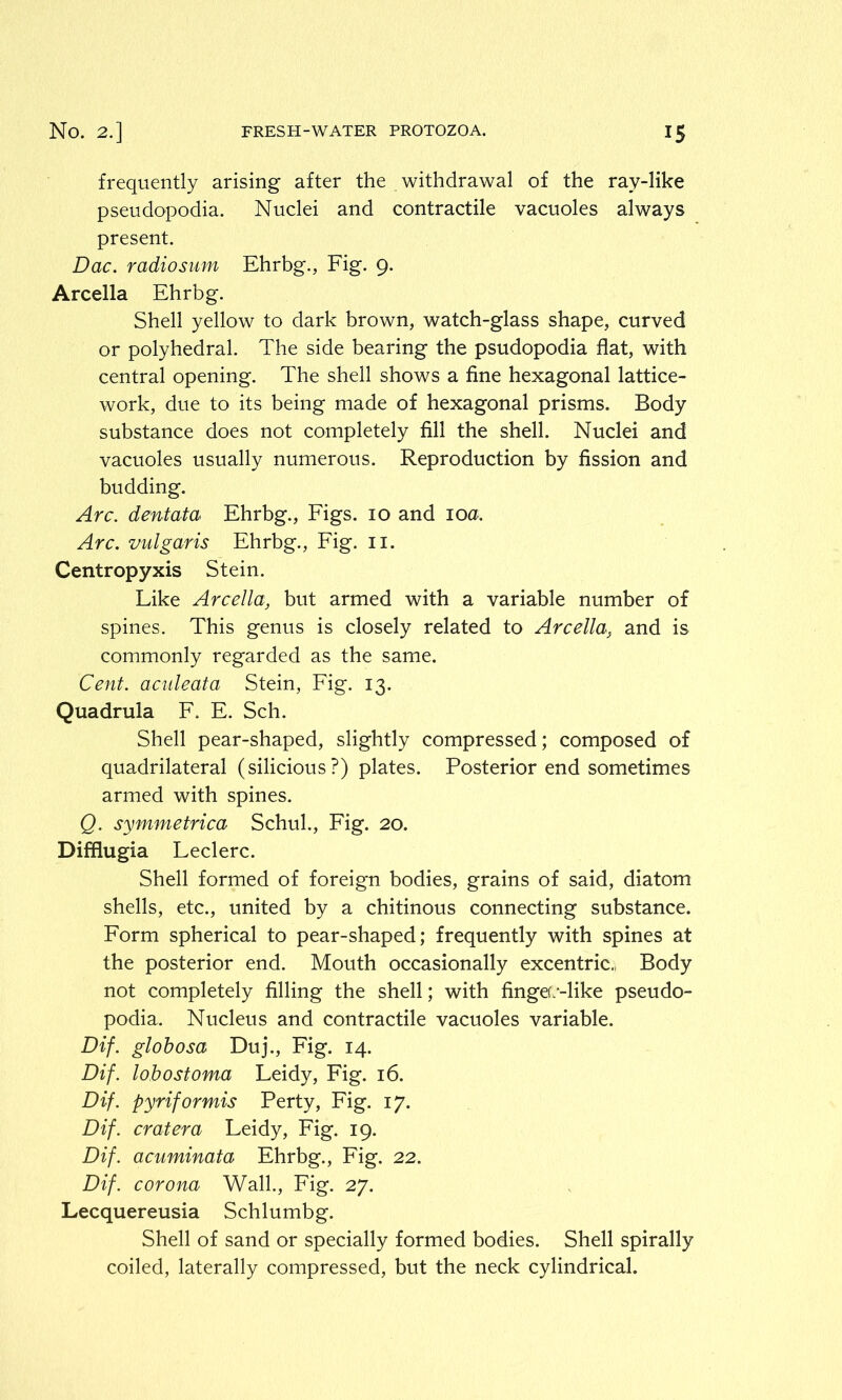 frequently arising after the withdrawal of the ray-like pseudopodia. Nuclei and contractile vacuoles always present. Dac. radiosum Ehrbg., Fig. 9. Arcella Ehrbg. Shell yellow to dark brown, watch-glass shape, curved or polyhedral. The side bearing the psudopodia flat, with central opening. The shell shows a fine hexagonal lattice- work, due to its being made of hexagonal prisms. Body substance does not completely fill the shell. Nuclei and vacuoles usually numerous. Reproduction by fission and budding. Arc. dentata Ehrbg., Figs. 10 and 10a. Arc. vulgaris Ehrbg., Fig. 11. Centropyxis Stein. Like Arcella, but armed with a variable number of spines. This genus is closely related to Arcella, and is commonly regarded as the same. Cent, aculeata Stein, Fig. 13. Quadrula F. E. Sch. Shell pear-shaped, slightly compressed; composed of quadrilateral (silicious?) plates. Posterior end sometimes armed with spines. Q. symmetrica Schul., Fig. 20. Difflugia Leclerc. Shell formed of foreign bodies, grains of said, diatom shells, etc., united by a chitinous connecting substance. Form spherical to pear-shaped; frequently with spines at the posterior end. Mouth occasionally excentric., Body not completely filling the shell; with fingeolike pseudo- podia. Nucleus and contractile vacuoles variable. Dif. globosa Duj., Fig. 14. Dif. lobostoma Leidy, Fig. 16. Dif. pyriformis Perty, Fig. 17. Dif. cratera Leidy, Fig. 19. Dif. acuminata Ehrbg., Fig. 22. Dif. corona Wall., Fig. 27. Lecquereusia Schlumbg. Shell of sand or specially formed bodies. Shell spirally coiled, laterally compressed, but the neck cylindrical.