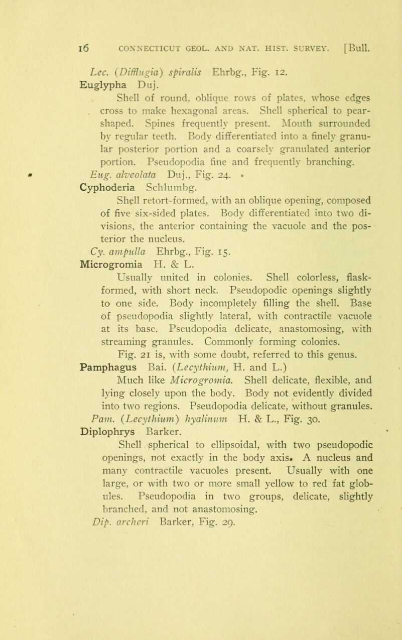Lee. (Difflugia) spiralis Ehrbg., Fig. 12. Euglypha Duj. Shell of round, oblique rows of plates, whose edges cross to make hexagonal areas. Shell spherical to pear- shaped. Spines frequently present. Mouth surrounded by regular teeth. Body differentiated into a finely granu- lar posterior portion and a coarsely granulated anterior portion. Pseudopodia fine and frequently branching. Eug. alveolata Duj., Fig. 24. * Cyphoderia Schlumbg. Shell retort-formed, with an oblique opening, composed of five six-sided plates. Body differentiated into two di- visions, the anterior containing the vacuole and the pos- terior the nucleus. Cy. ampulla Ehrbg., Fig. 15. Microgromia H. & L. Usually united in colonies. Shell colorless, flask- formed, with short neck. Pseudopodic openings slightly to one side. Body incompletely filling the shell. Base of pseudopodia slightly lateral, with contractile vacuole at its base. Pseudopodia delicate, anastomosing, with streaming granules. Commonly forming colonies. Fig. 21 is, with some doubt, referred to this genus. Pamphagus Bai. (Lecythium, H. and L.) Much like Microgromia. Shell delicate, flexible, and lying closely upon the body. Body not evidently divided into two regions. Pseudopodia delicate, without granules. Pam. (Lecythium) hyalinum H. & L., Fig. 30. Diplophrys Barker. Shell spherical to ellipsoidal, with two pseudopodic openings, not exactly in the body axis. A nucleus and many contractile vacuoles present. Usually with one large, or with two or more small yellow to red fat glob- ules. Pseudopodia in two groups, delicate, slightly branched, and not anastomosing. Dip. archcri Barker, Fig. 29.