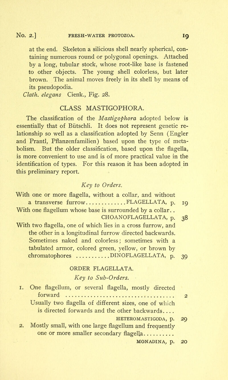 at the end. Skeleton a silicious shell nearly spherical, con- taining numerous round or polygonal openings. Attached by a long, tubular stock, whose root-like base is fastened to other objects. The young shell colorless, but later brown. The animal moves freely in its shell by means of its pseudopodia. Clath. elegans Cienk., Fig. 28. CLASS MASTIGOPHORA. The classification of the Mastigophora adopted below is essentially that of Butschli. It does not represent genetic re- lationship so well as a classification adopted by Senn (Engler and Prantl, Pflanzenfamilien) based upon the type of meta- bolism. But the older classification, based upon the flagella, is more convenient to use and is of more practical value in the identification of types. For this reason it has been adopted in this preliminary report. Key to Orders. With one or more flagella, without a collar, and without a transverse furrow FLAGELLATA, p. 19 With one flagellum whose base is surrounded by a collar. . CHOANOFLAGELLATA, p. 38 With two flagella, one of which lies in a cross furrow, and the other in a longitudinal furrow directed backwards. Sometimes naked and colorless; sometimes with a tabulated armor, colored green, yellow, or brown by chromatophores DINOFLAGELLATA, p. 39 ORDER FLAGELLATA. Key to Sub-Orders. 1. One flagellum, or several flagella, mostly directed forward 2 Usually two flagella of different sizes, one of which is directed forwards and the other backwards.... HETEROMASTIGODA, p. 29 2. Mostly small, with one large flagellum and frequently one or more smaller secondary flagella MONADINA, p. 20