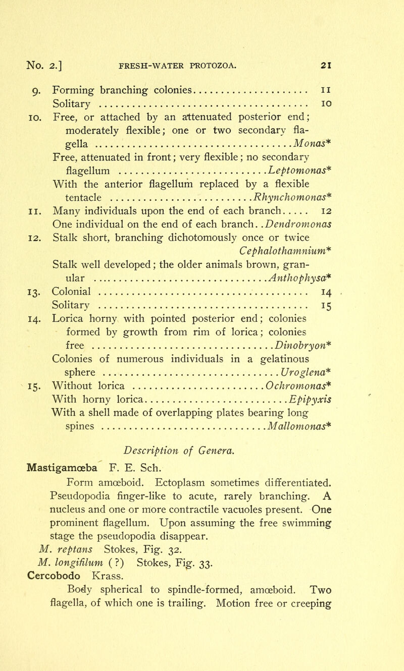 9. Forming branching colonies 11 Solitary 10 10. Free, or attached by an attenuated posterior end; moderately flexible; one or two secondary fla- gella Monas* Free, attenuated in front; very flexible; no secondary flagellum Leptomonas* With the anterior flagellum replaced by a flexible tentacle Rhynchomonas* 11. Many individuals upon the end of each branch 12 One individual on the end of each branch. .Dendromonas 12. Stalk short, branching dichotomously once or twice Cephalothamnium* Stalk well developed; the older animals brown, gran- ular Anthophysa* 13. Colonial 14 Solitary 15 14. Lorica horny with pointed posterior end; colonies formed by growth from rim of lorica; colonies free Dinobryon* Colonies of numerous individuals in a gelatinous sphere Uroglena* 15. Without lorica Ochromonas* With horny lorica Epipyxis With a shell made of overlapping plates bearing long spines Mallomonas* Description of Genera. Mastigamoeba F. E. Sch. Form amoeboid. Ectoplasm sometimes differentiated. Pseudopodia finger-like to acute, rarely branching. A nucleus and one or more contractile vacuoles present. One prominent flagellum. Upon assuming the free swimming stage the pseudopodia disappear. M. reptans Stokes, Fig. 32. M. longidlum (?) Stokes, Fig. 33. Cercobodo Krass. Body spherical to spindle-formed, amoeboid. Two flagella, of which one is trailing. Motion free or creeping